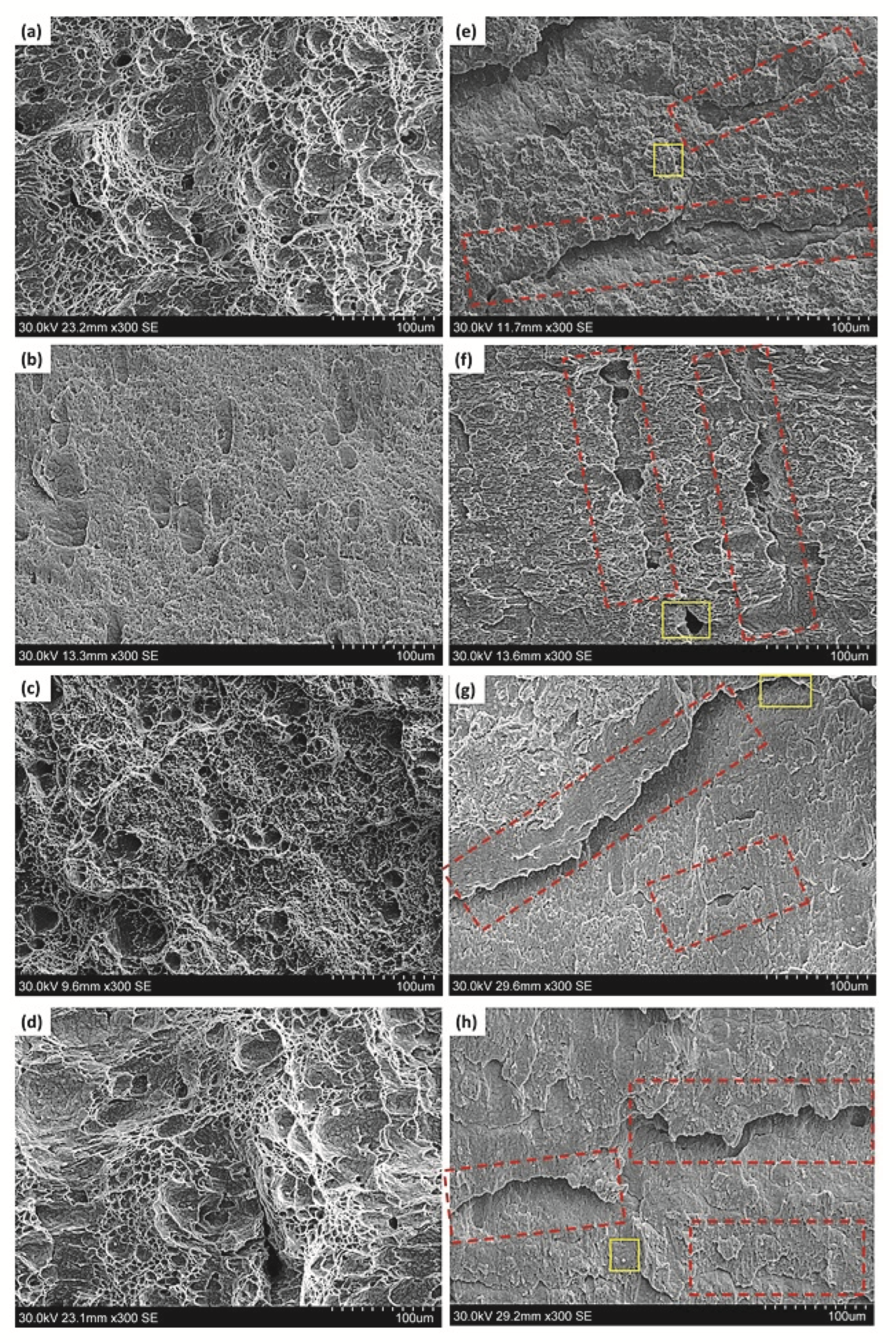 Metals 13 00841 g004