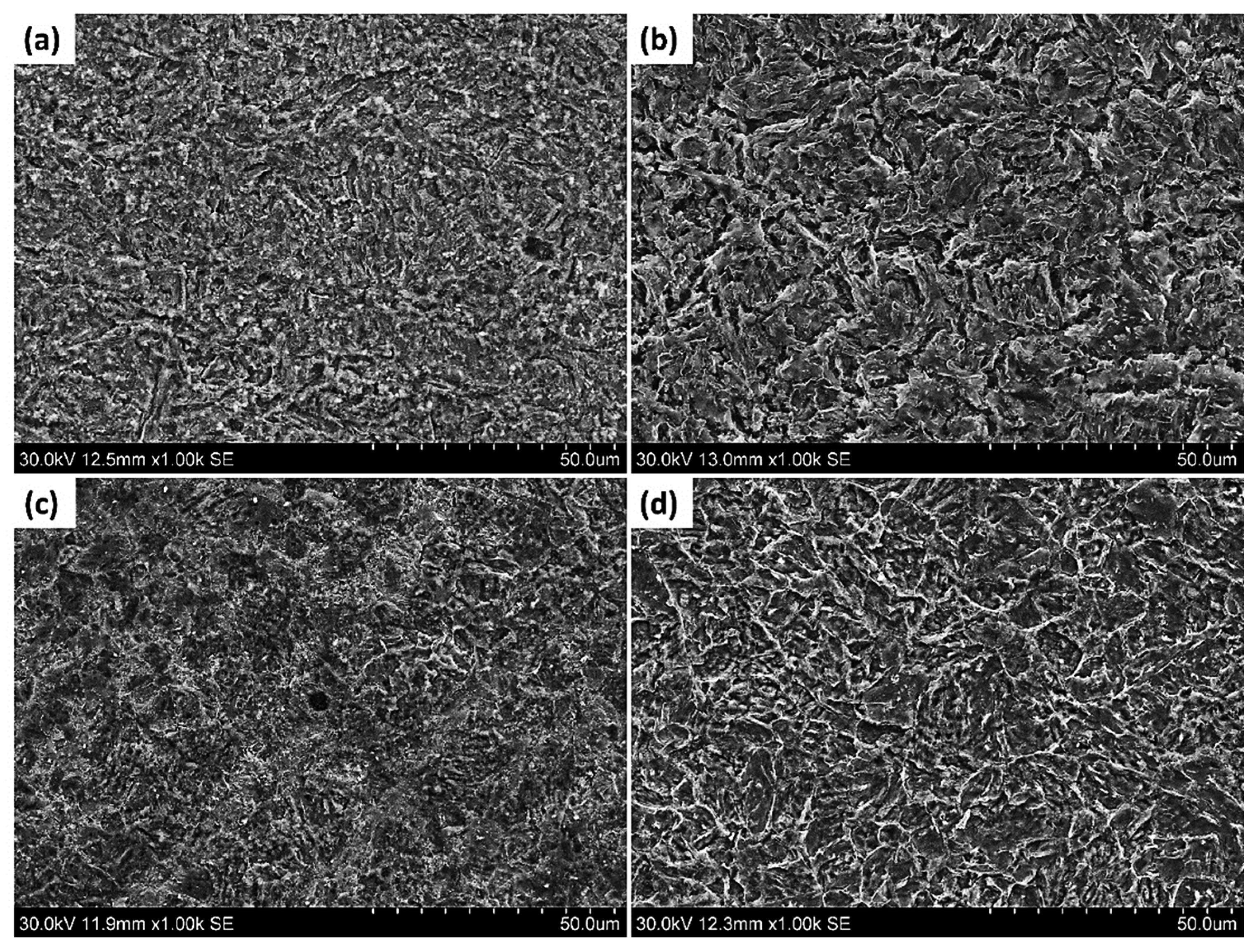 Metals 13 00841 g011