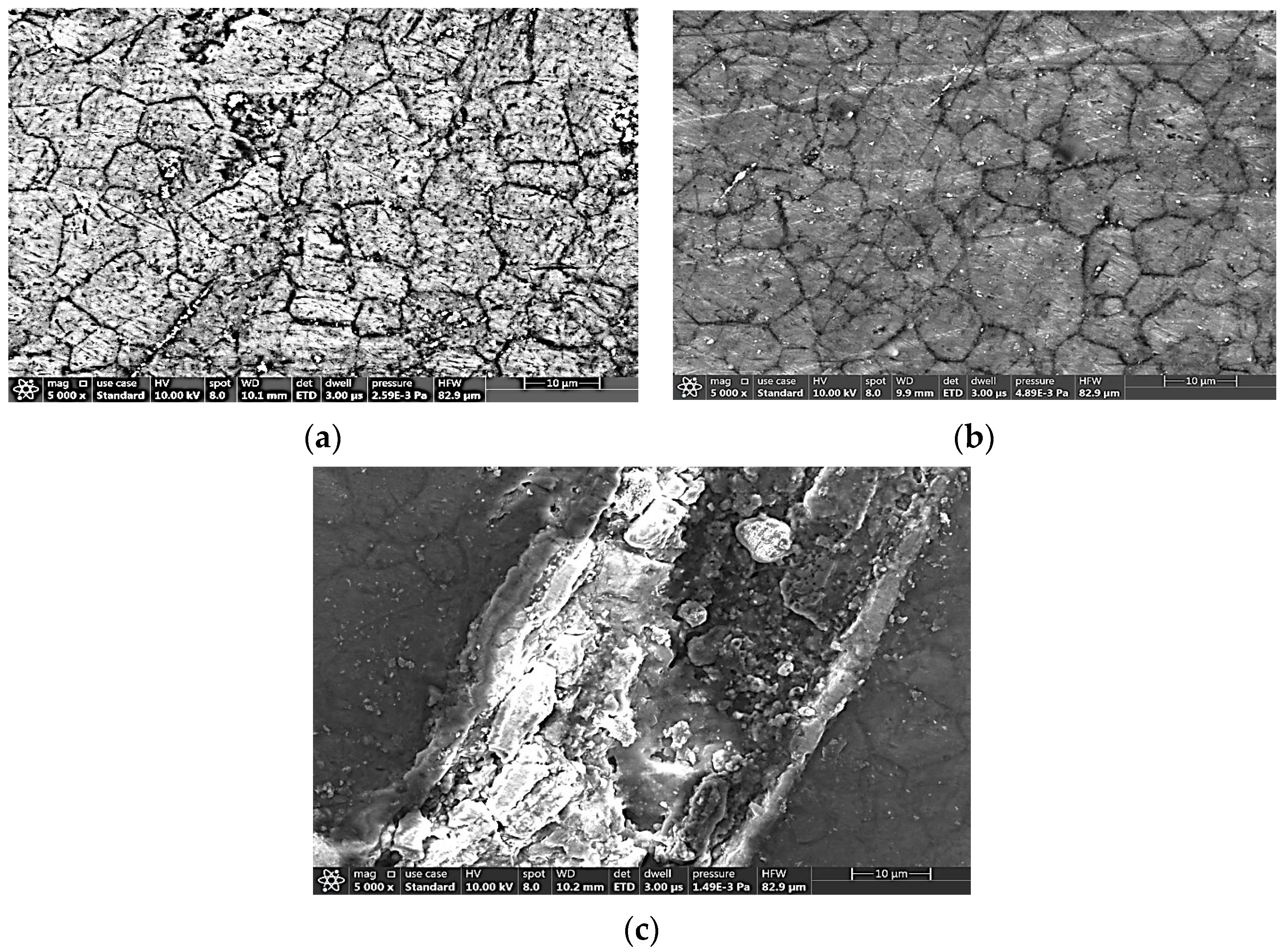 Metals 13 00850 g007