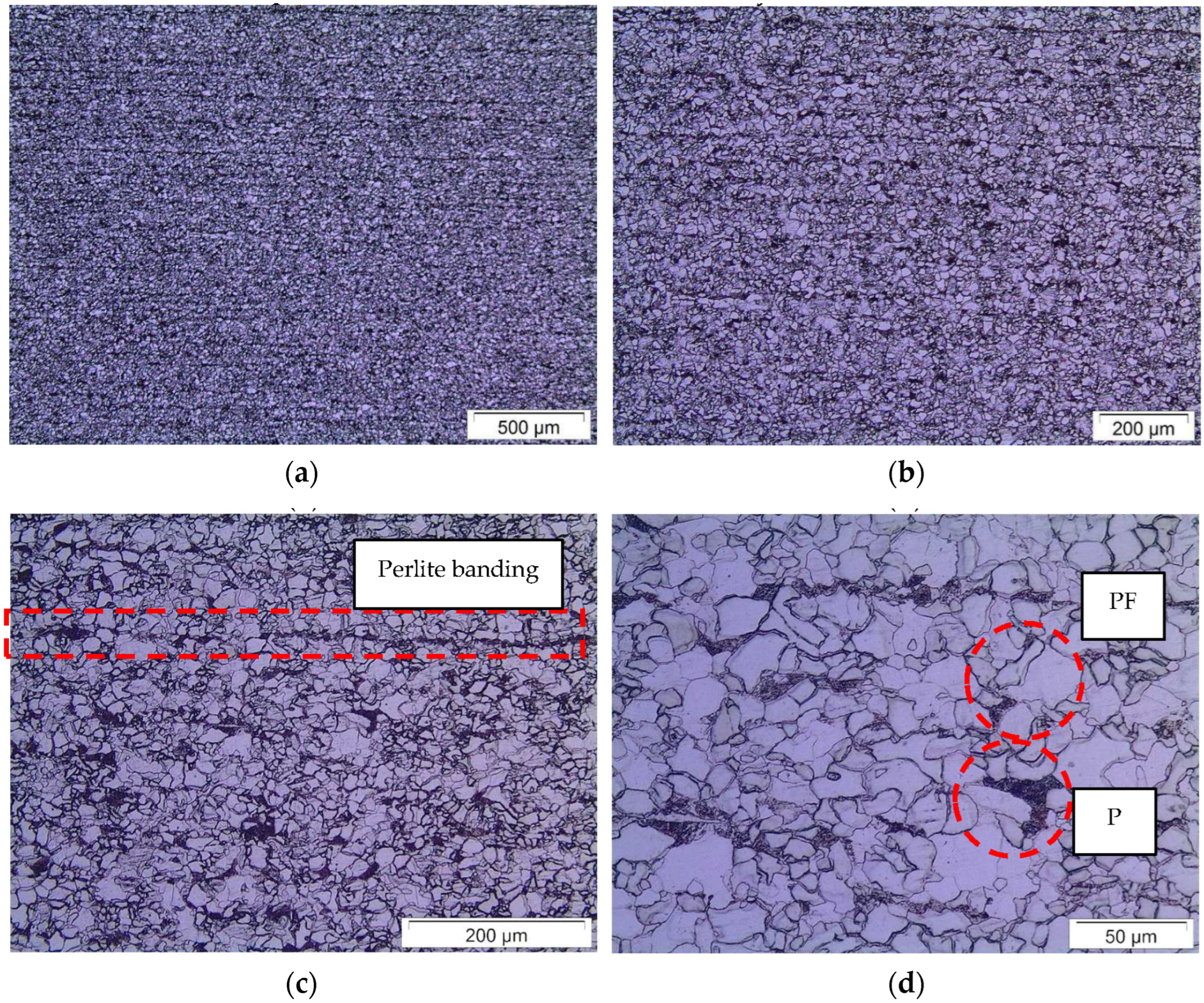 Metals 13 00867 g005