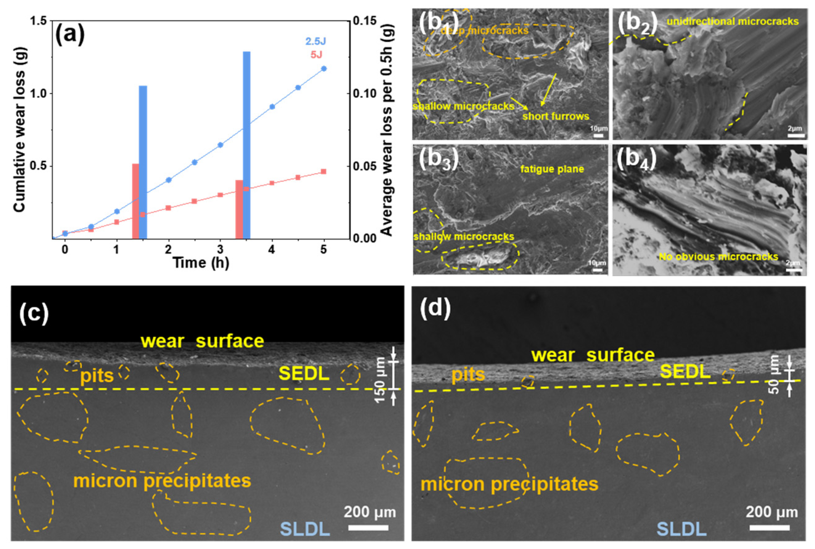 Metals 13 00902 g010