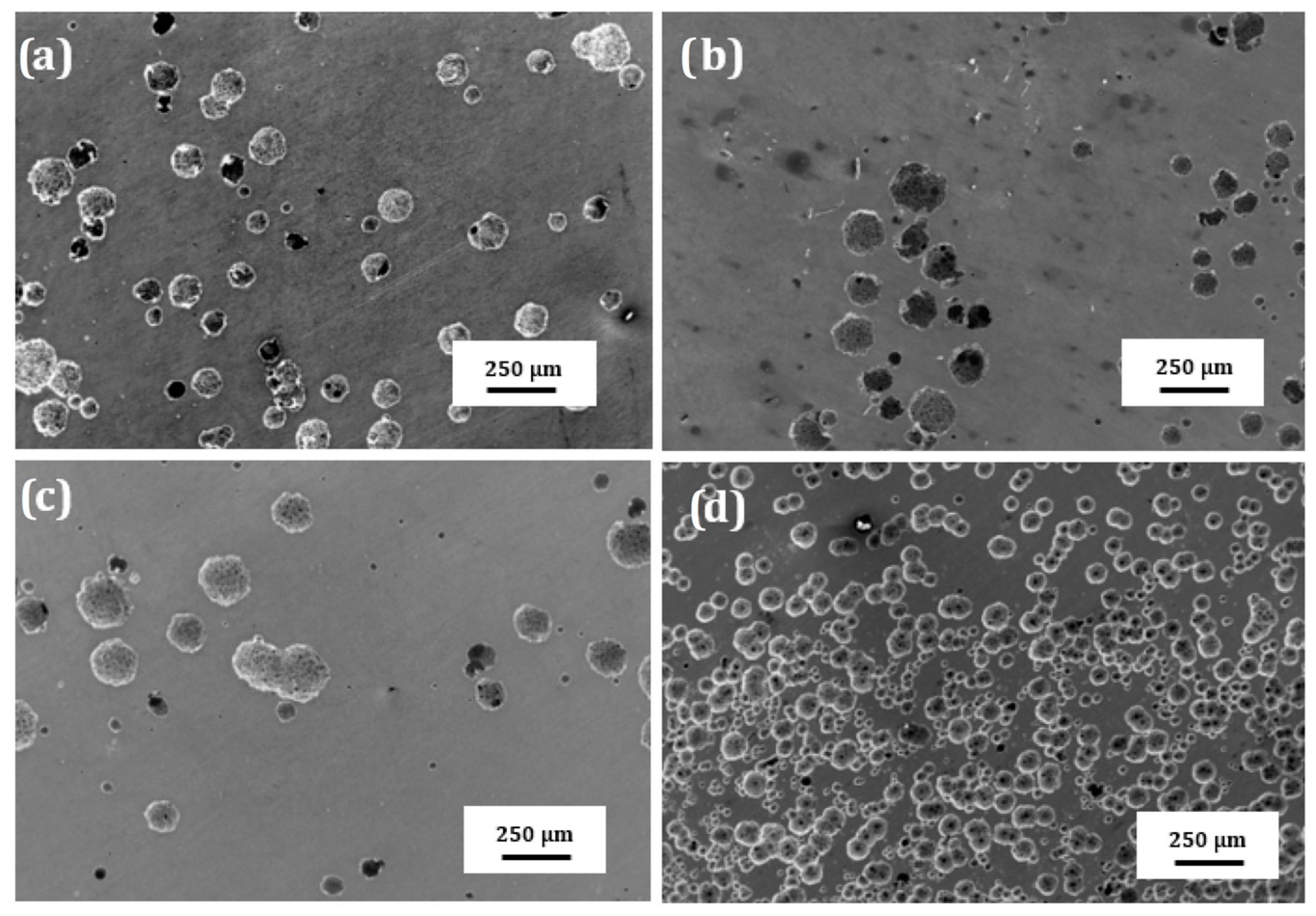 Metals 13 00920 g010