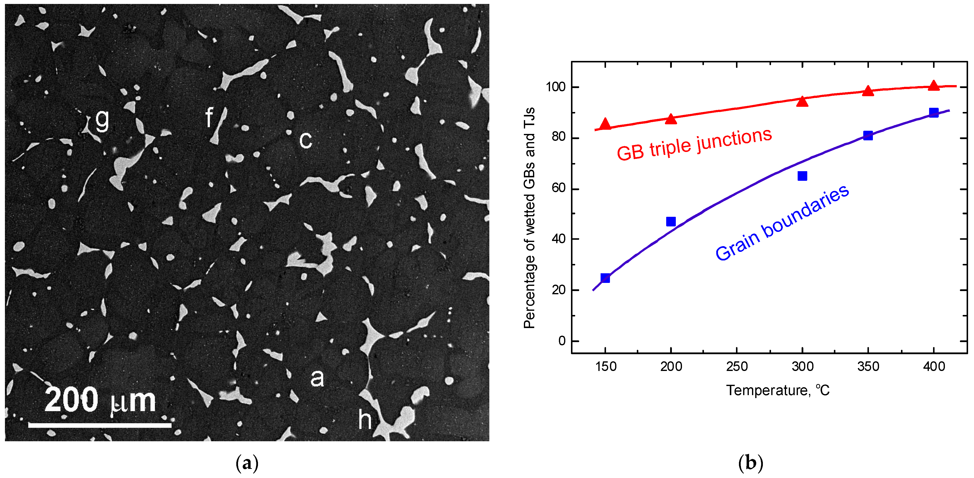 Metals 13 00929 g014 Metals 13 00929 g014
