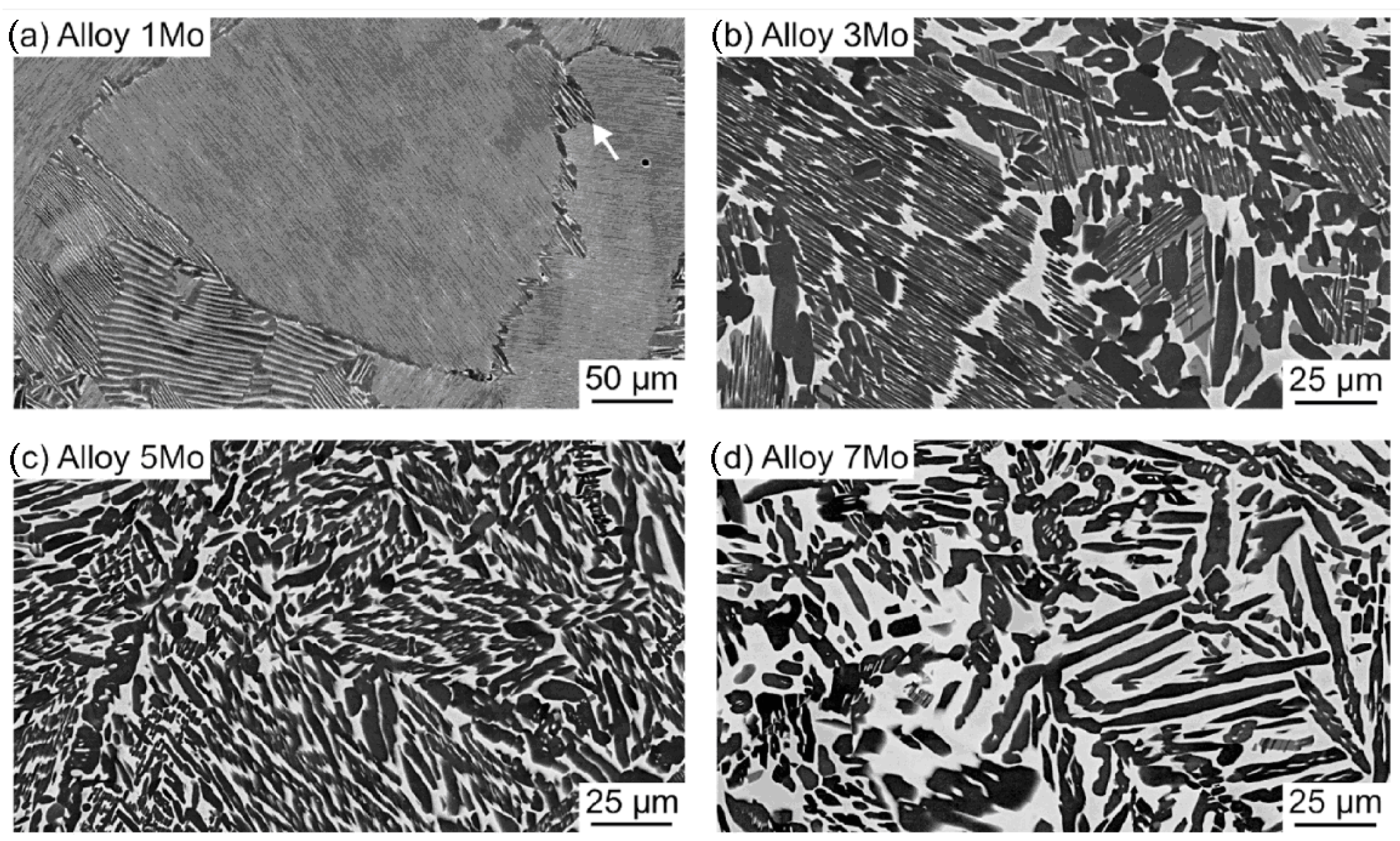 Metals 13 00929 g020 Metals 13 00929 g020