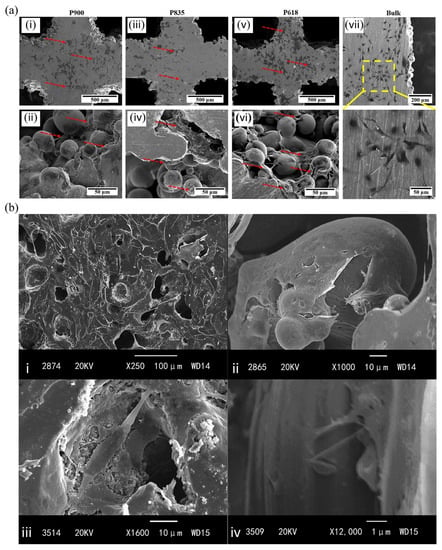 Metals 13 00931 g009