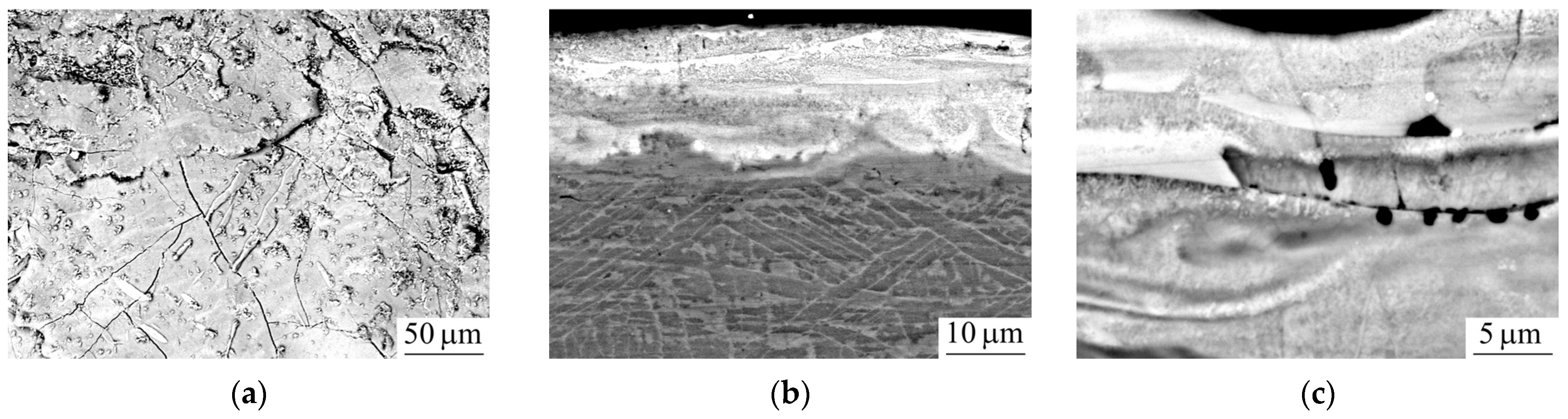 Metals 13 00932 g005