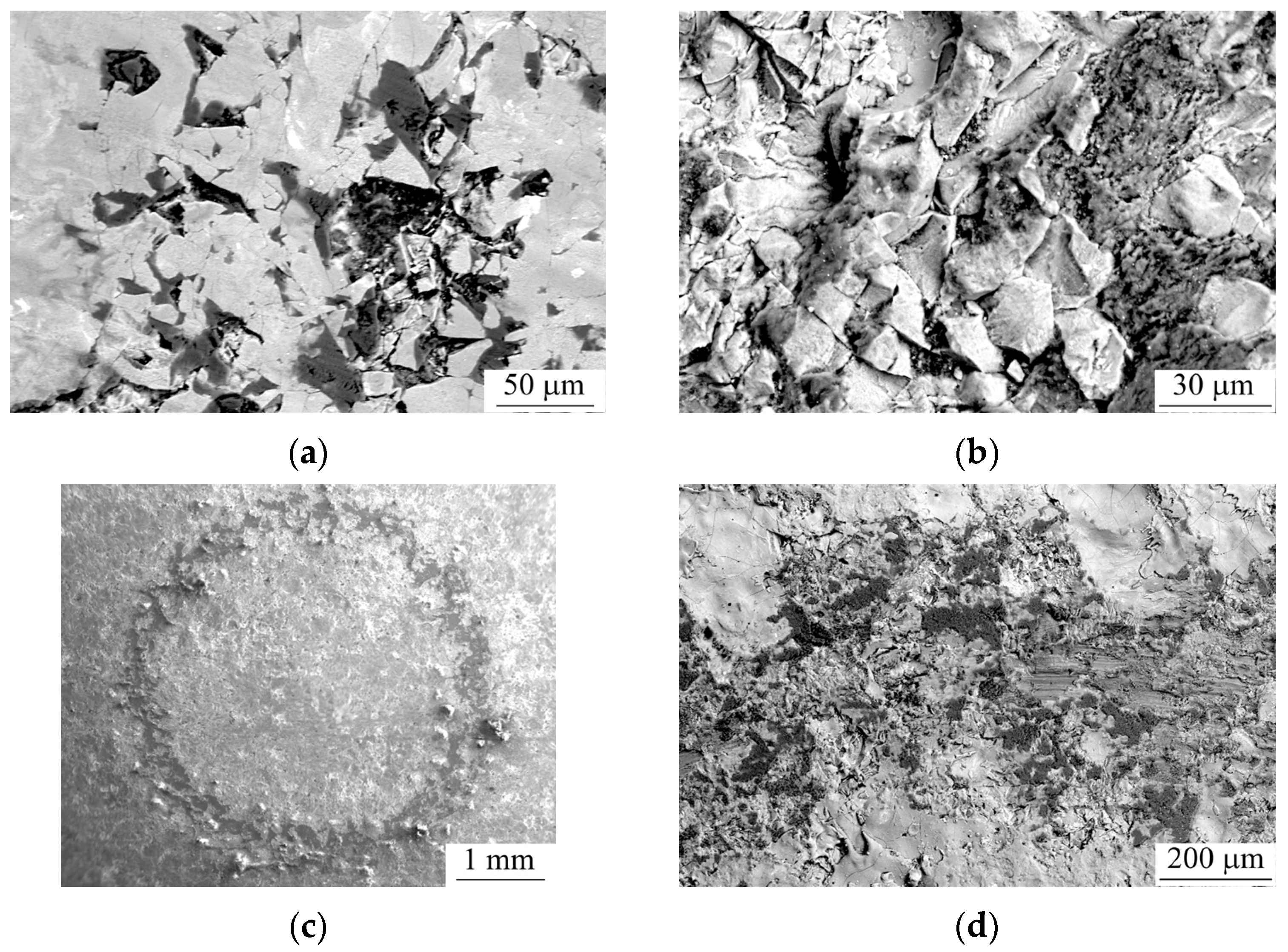 Metals 13 00932 g017