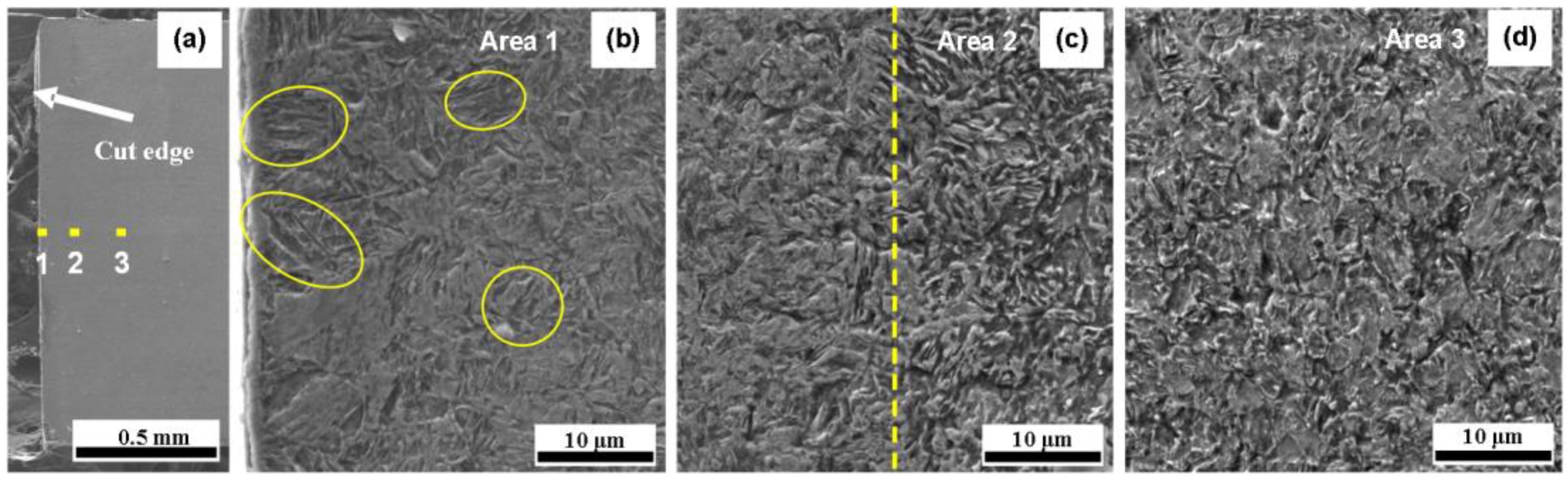 Metals 13 00948 g013