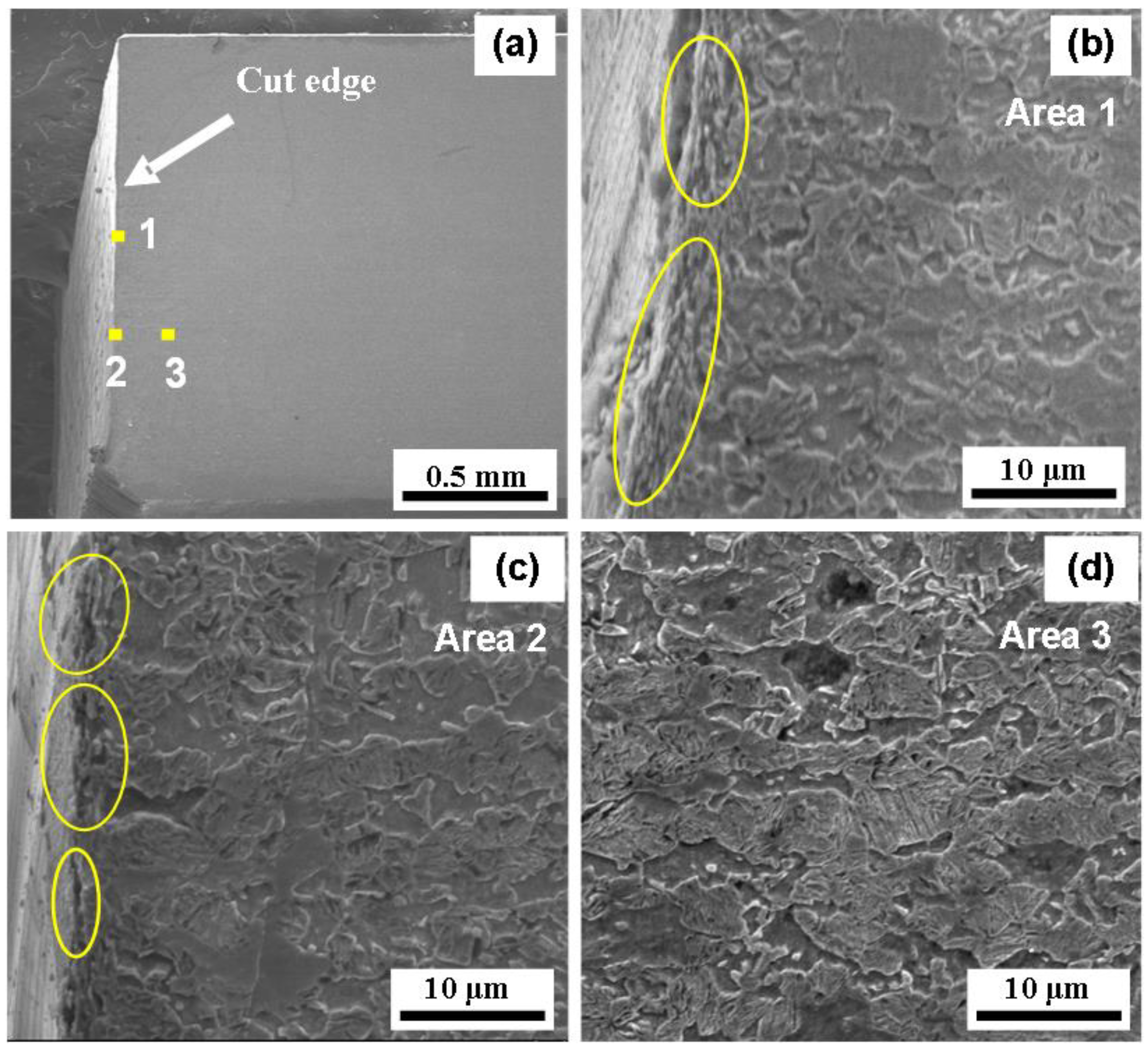 Metals 13 00948 g016