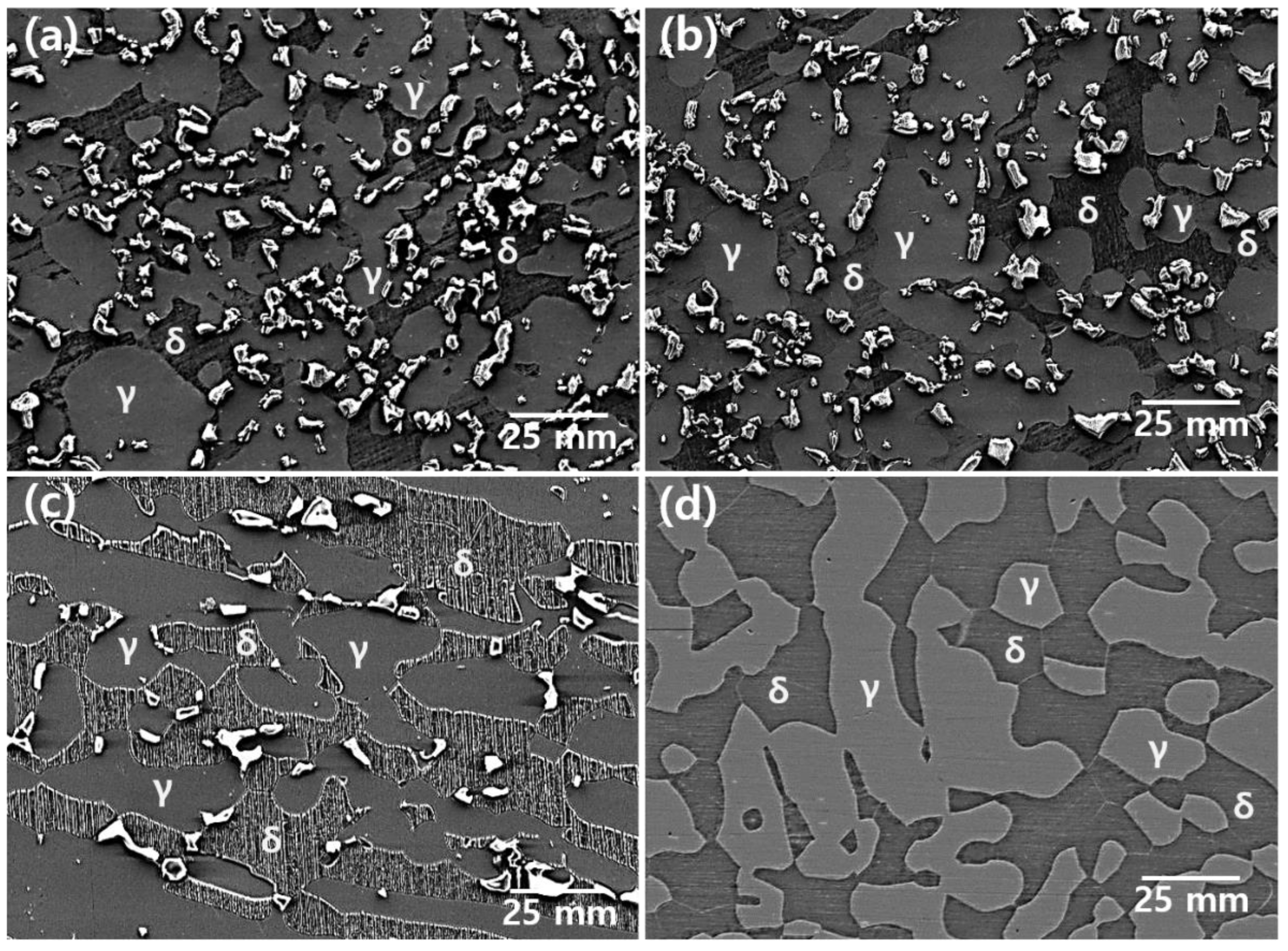 Metals 13 00957 g002