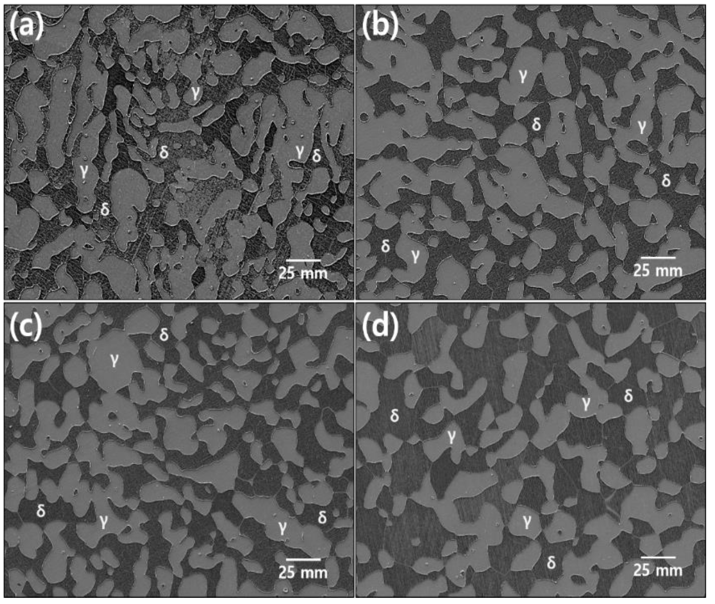 Metals 13 00957 g006