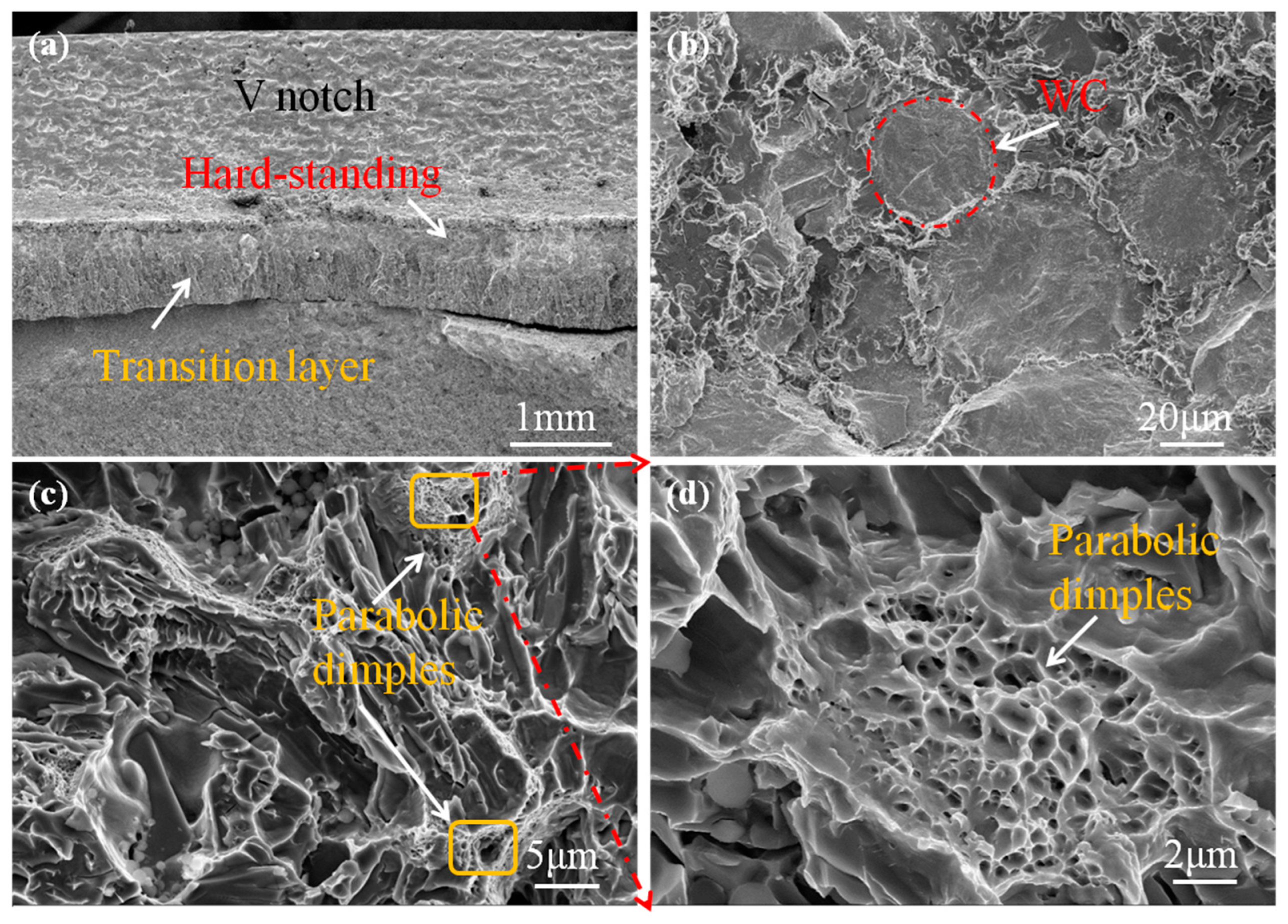 Metals 13 00961 g007