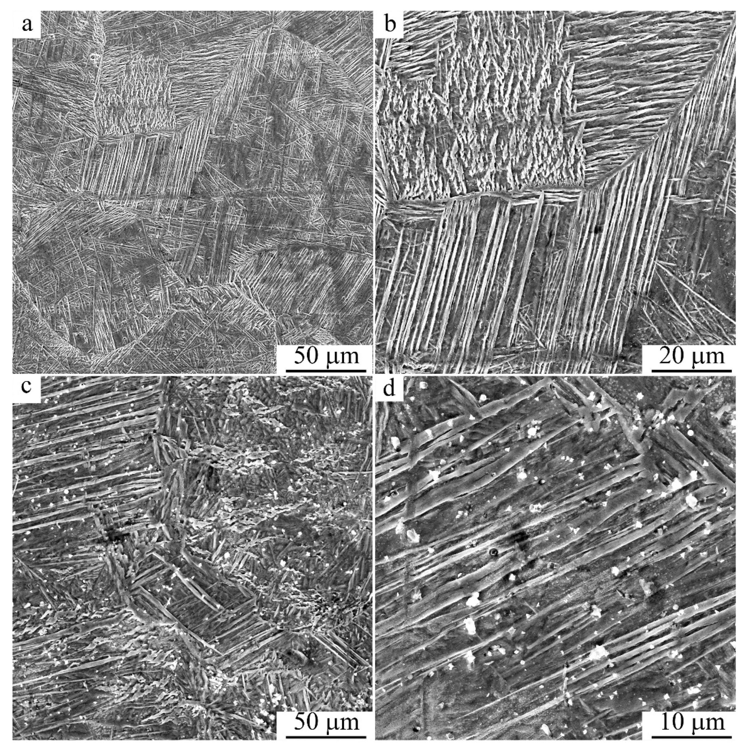 Metals 13 00967 g005