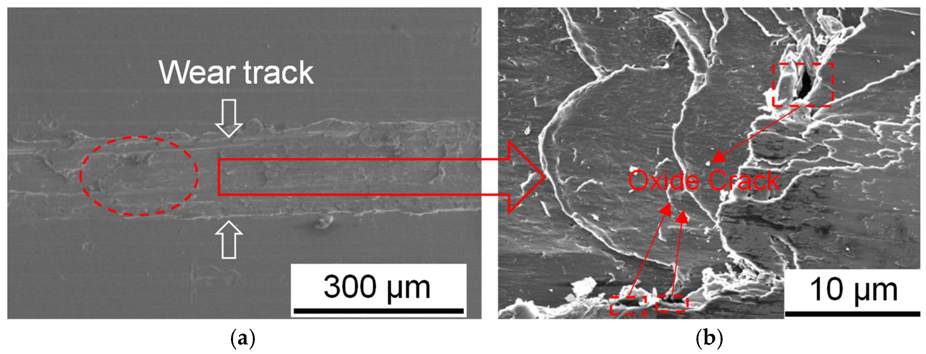 Metals 13 00972 g007