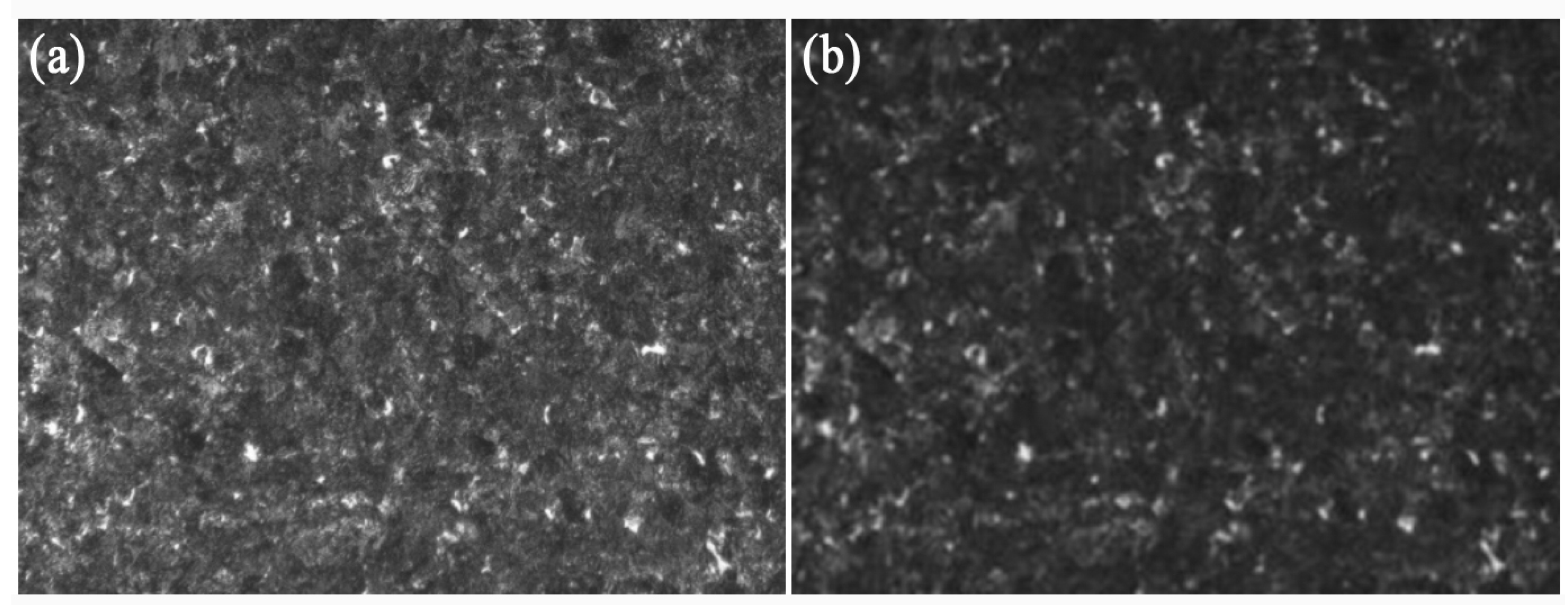 Metals 13 00990 g006 Metals 13 00990 g006