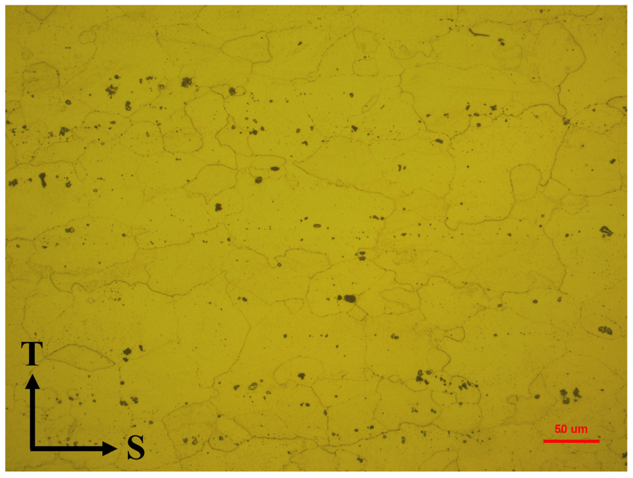 Metals 13 00995 g004