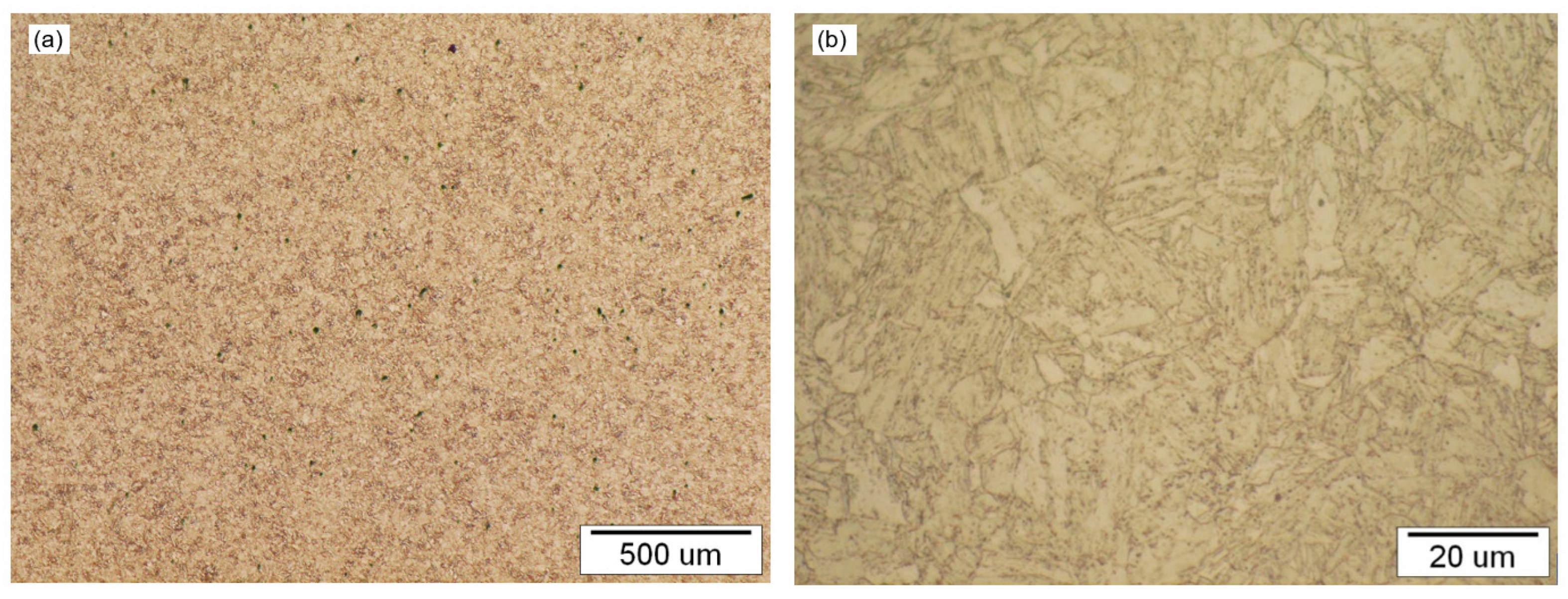 Metals 13 00999 g021 Metals 13 00999 g021