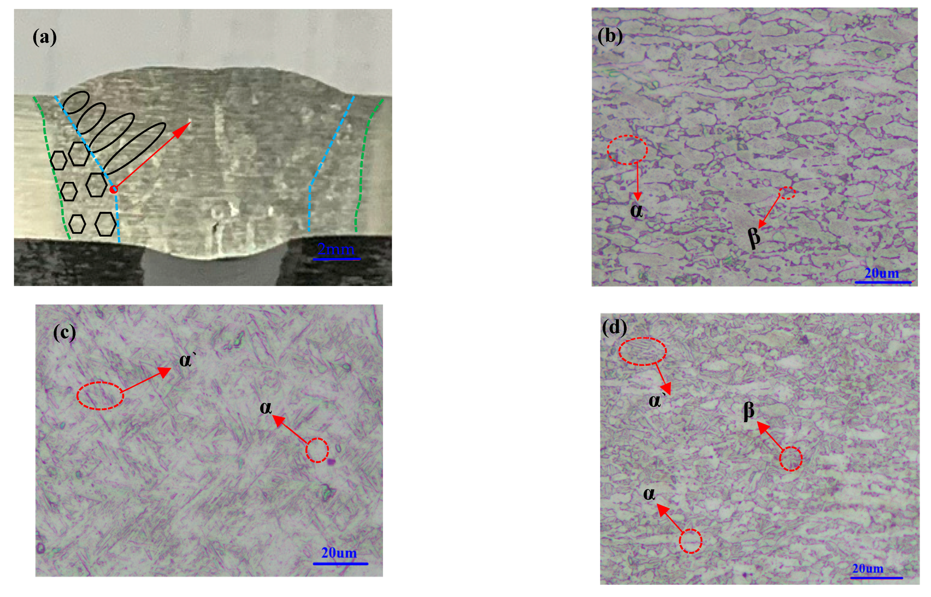 Metals 13 01001 g011 Metals 13 01001 g011