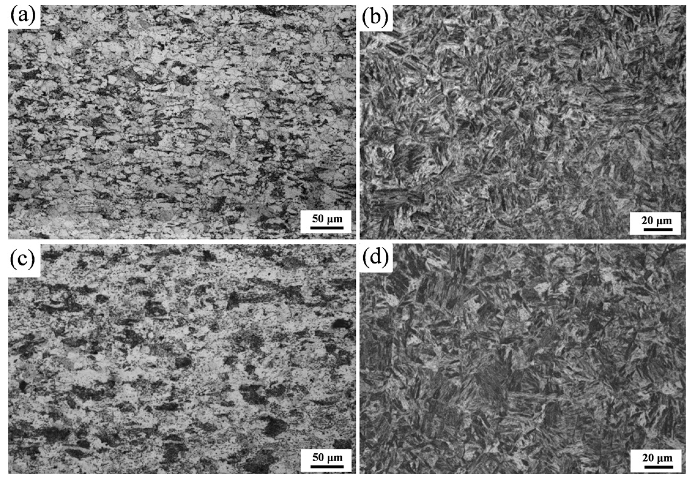 Metals 13 01011 g003