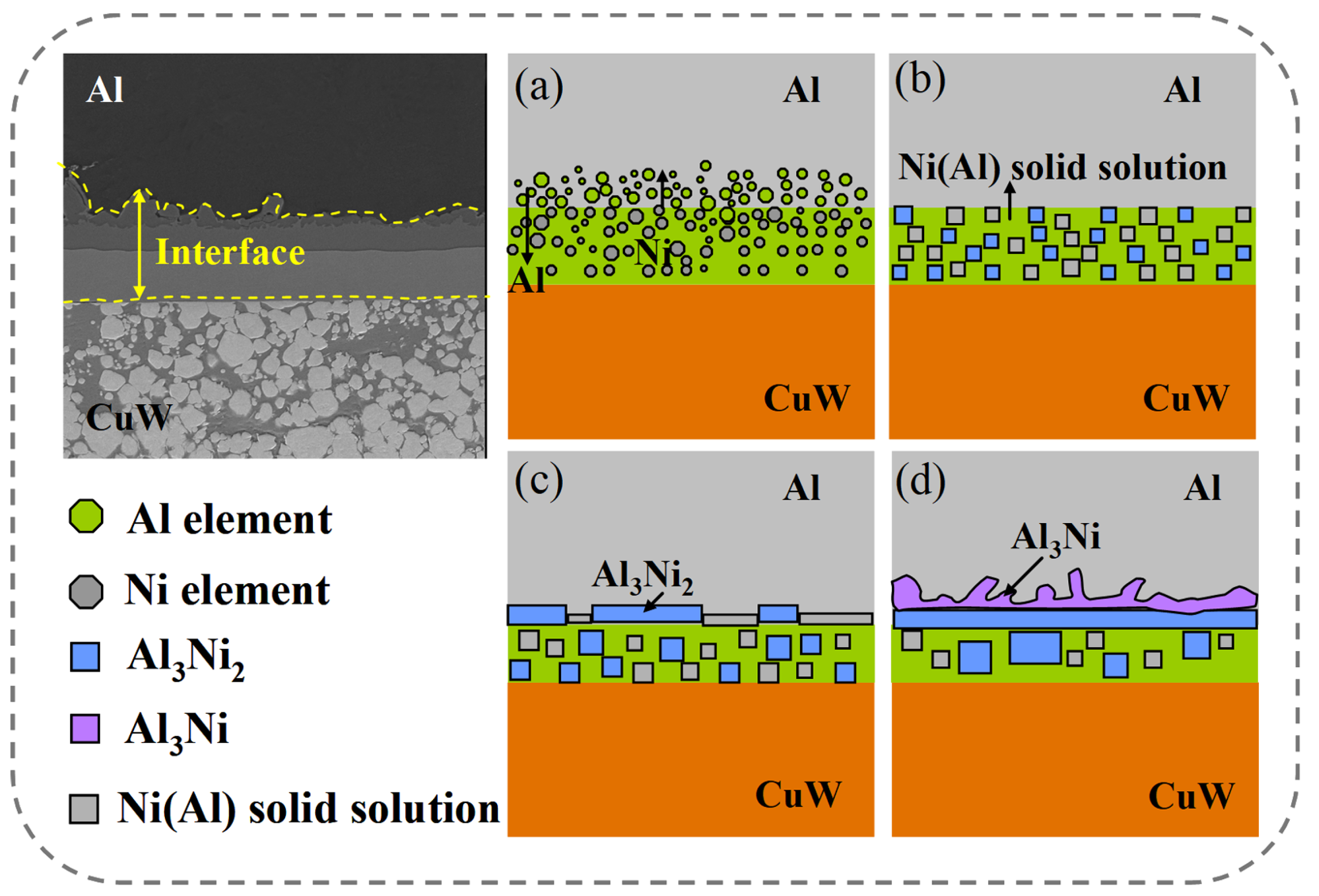 Metals 13 01029 g011