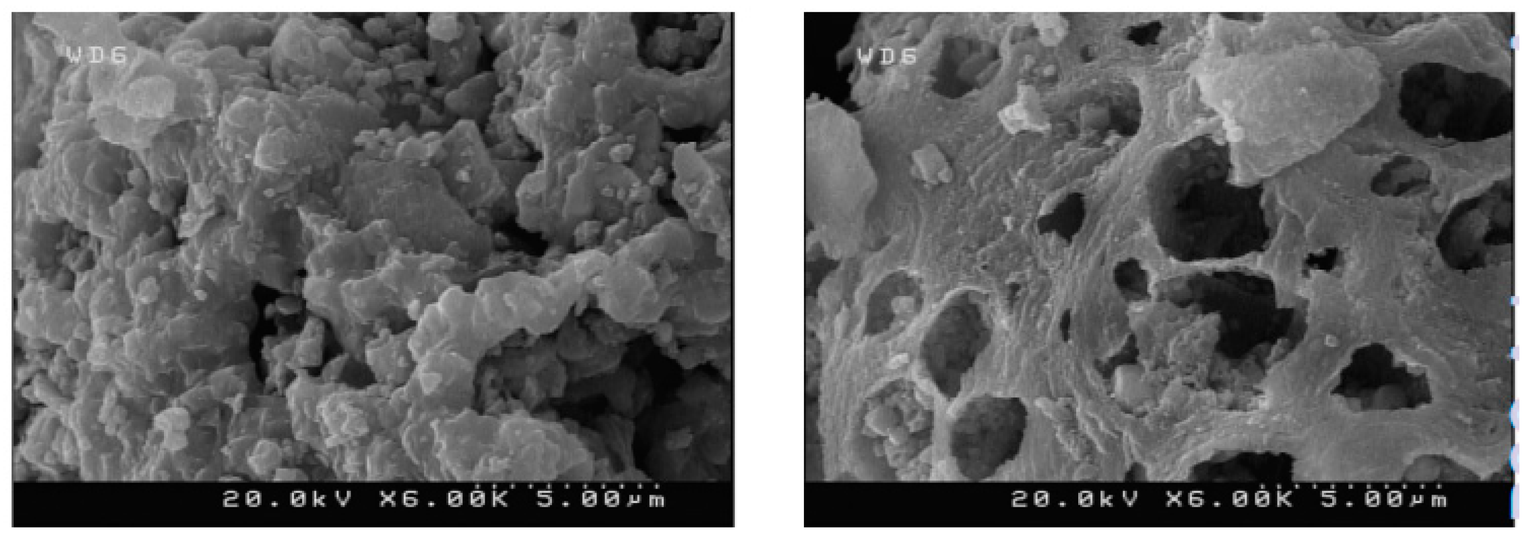 Metals 13 01031 g007