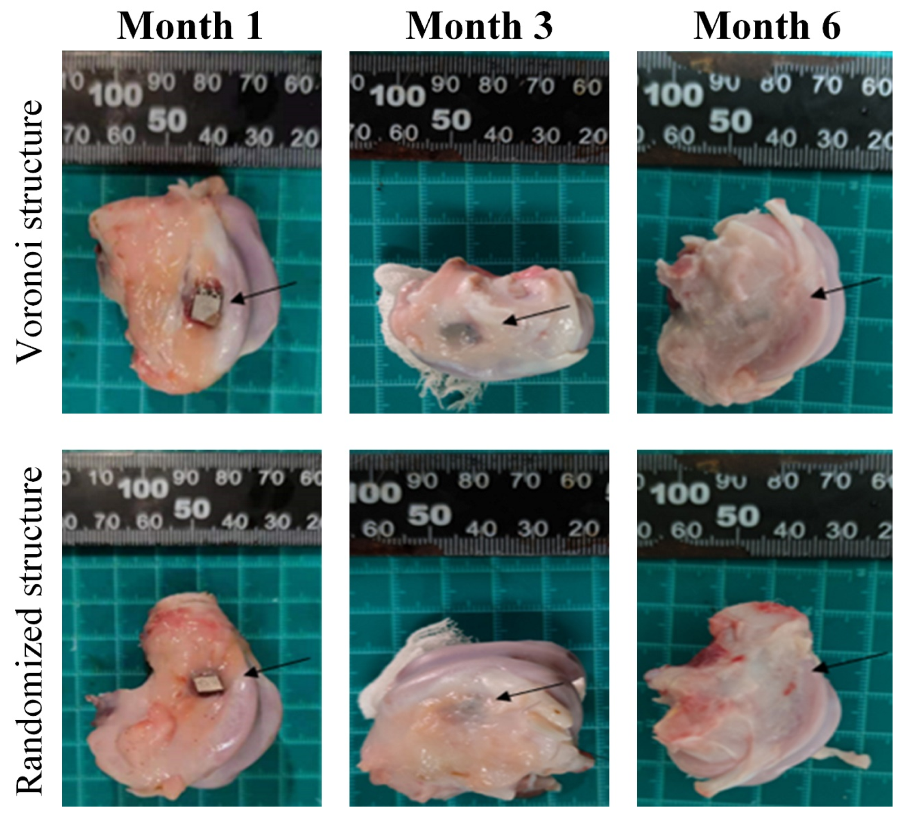 Metals 13 01034 g006