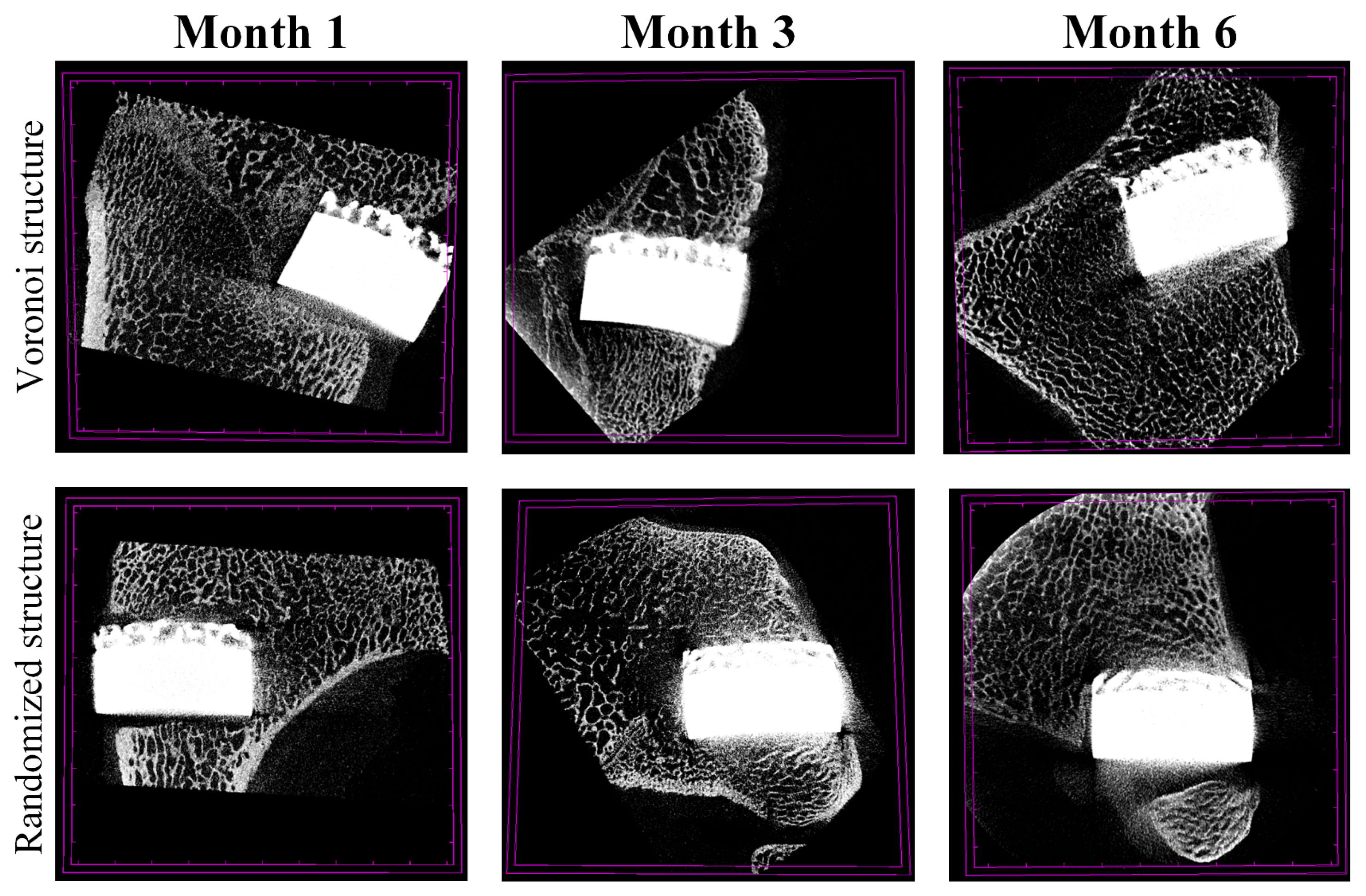 Metals 13 01034 g007