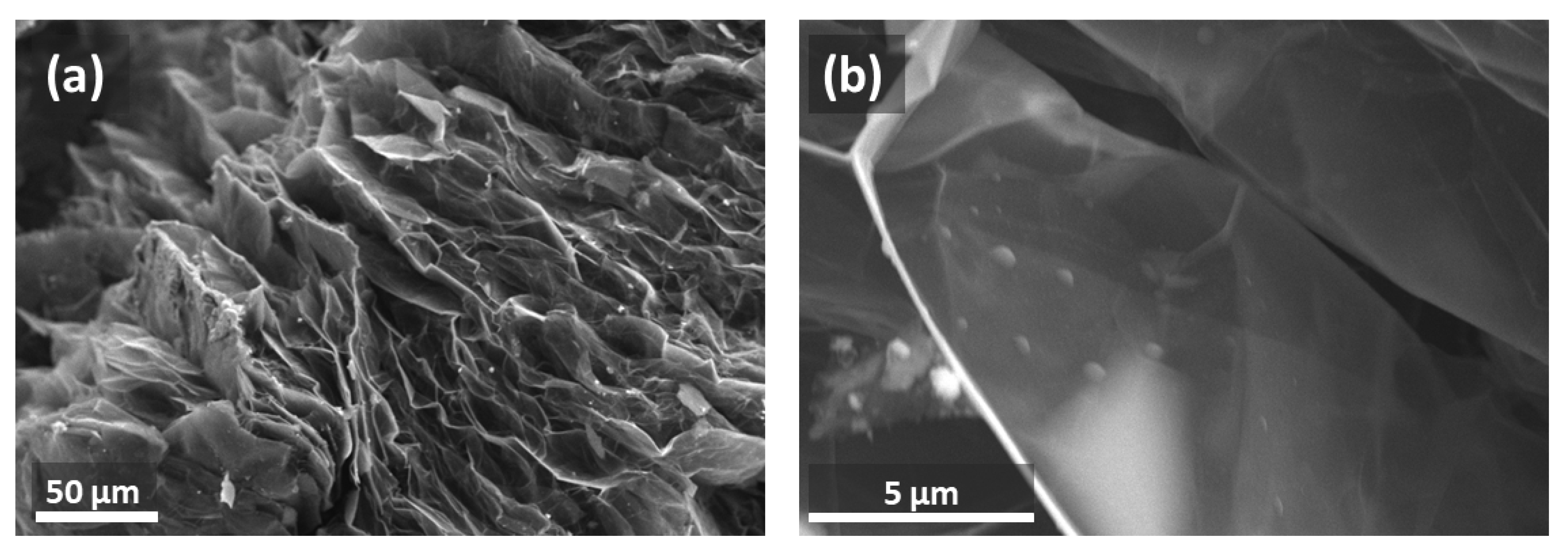 Metals 13 01037 g001