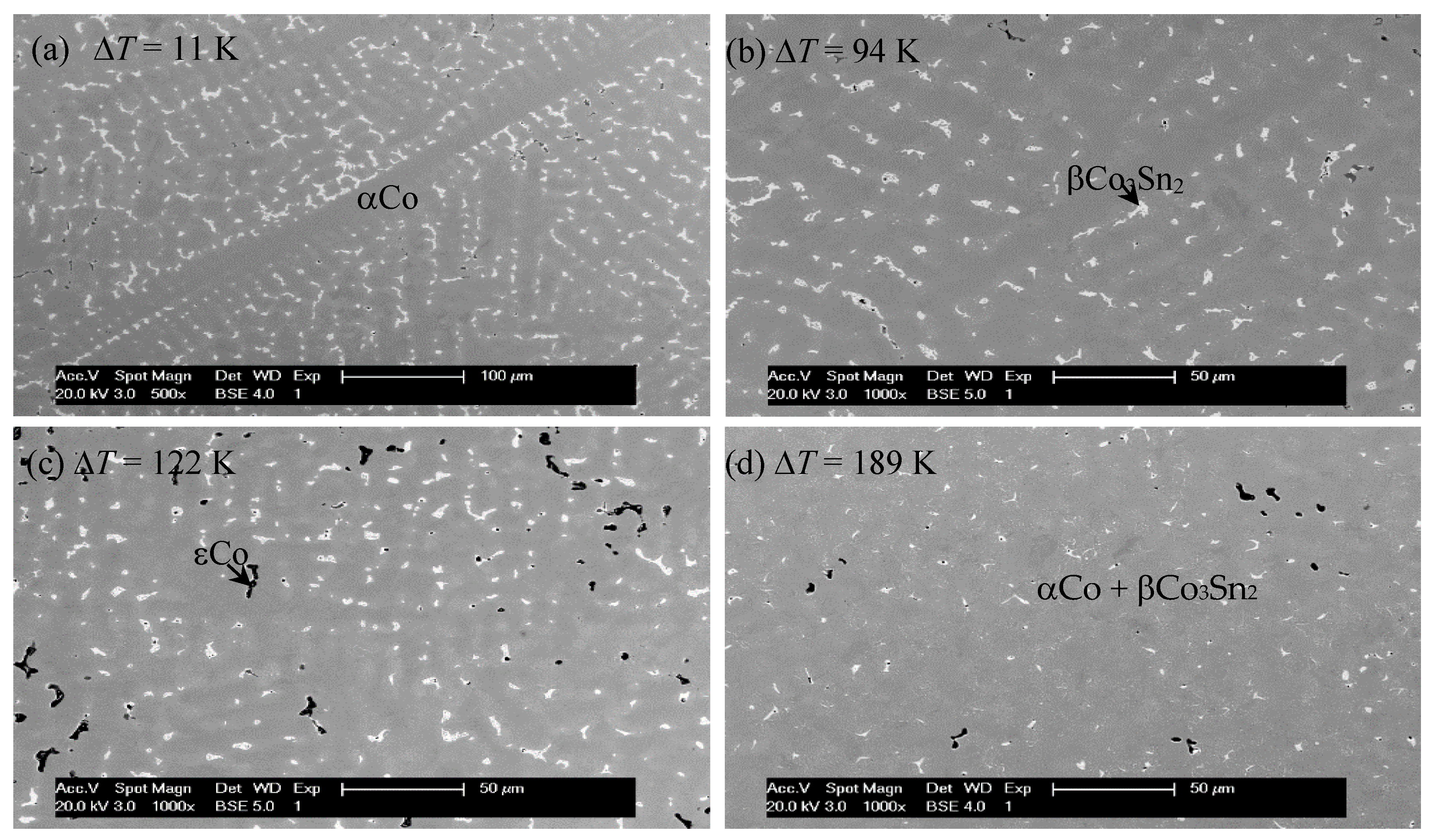 Metals 13 01046 g002