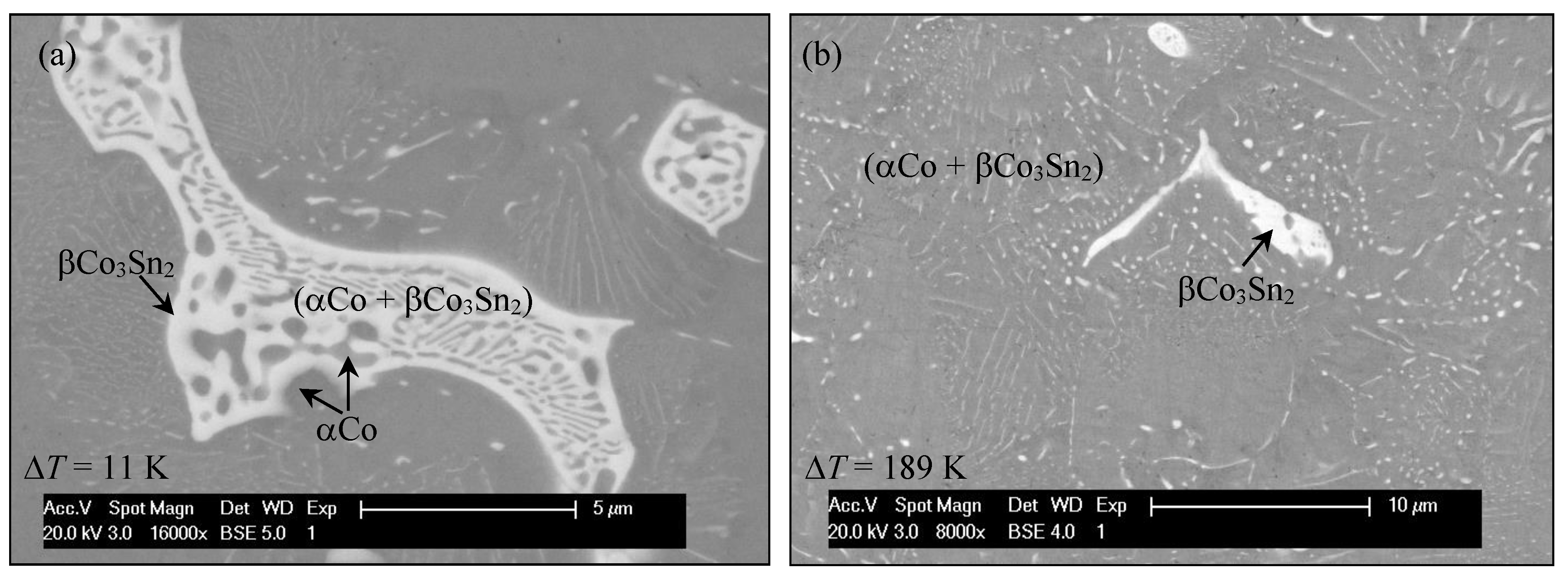 Metals 13 01046 g003