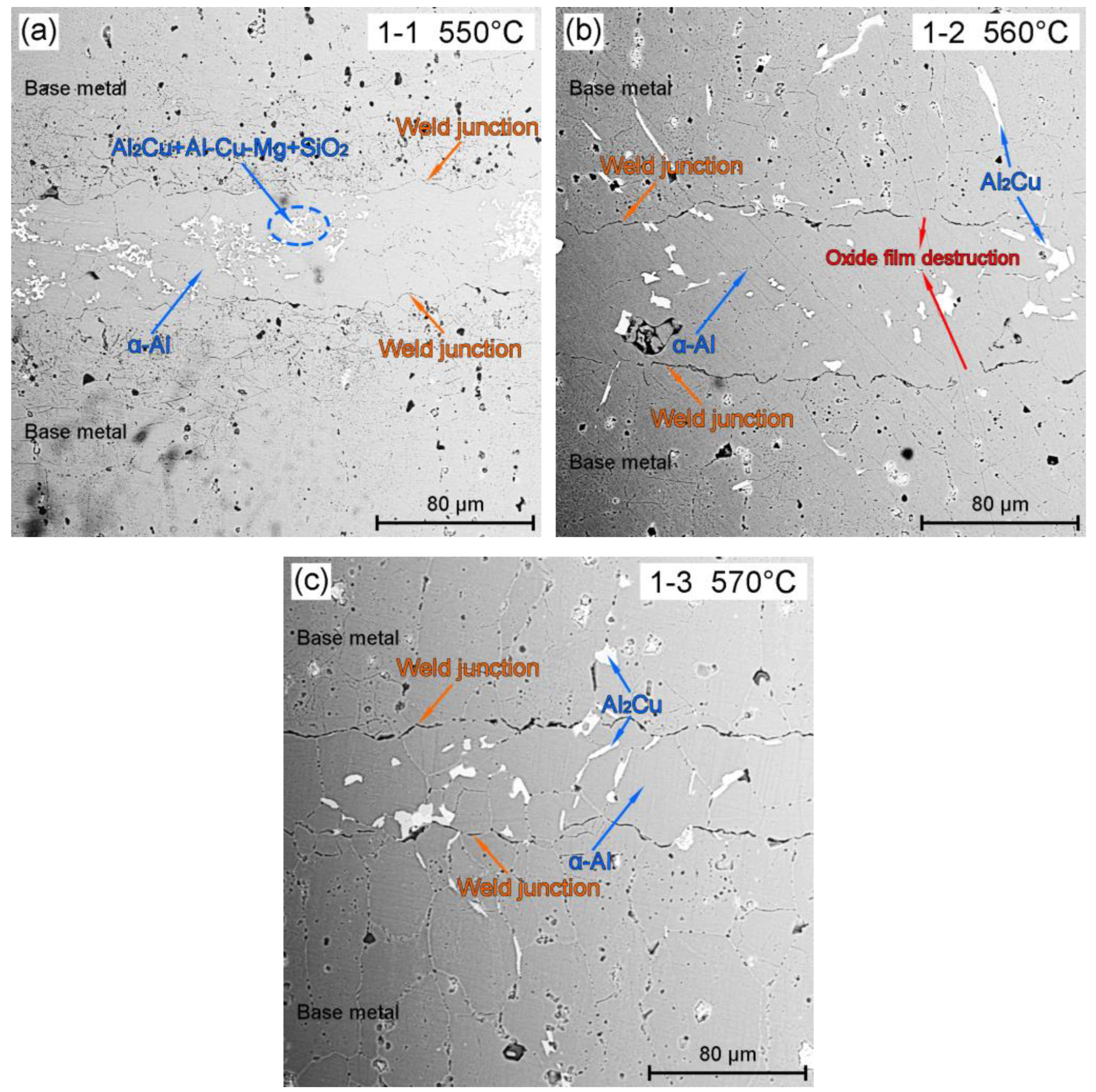 Metals 13 01048 g004