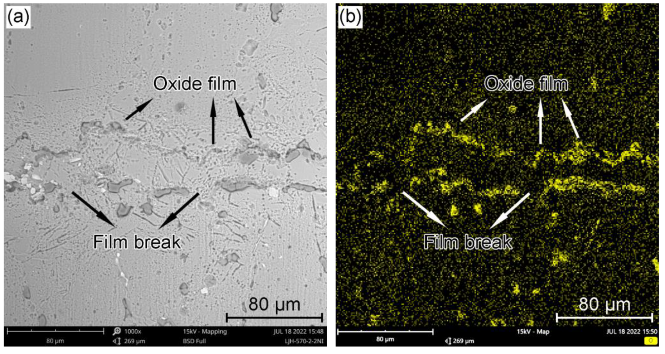 Metals 13 01048 g006a