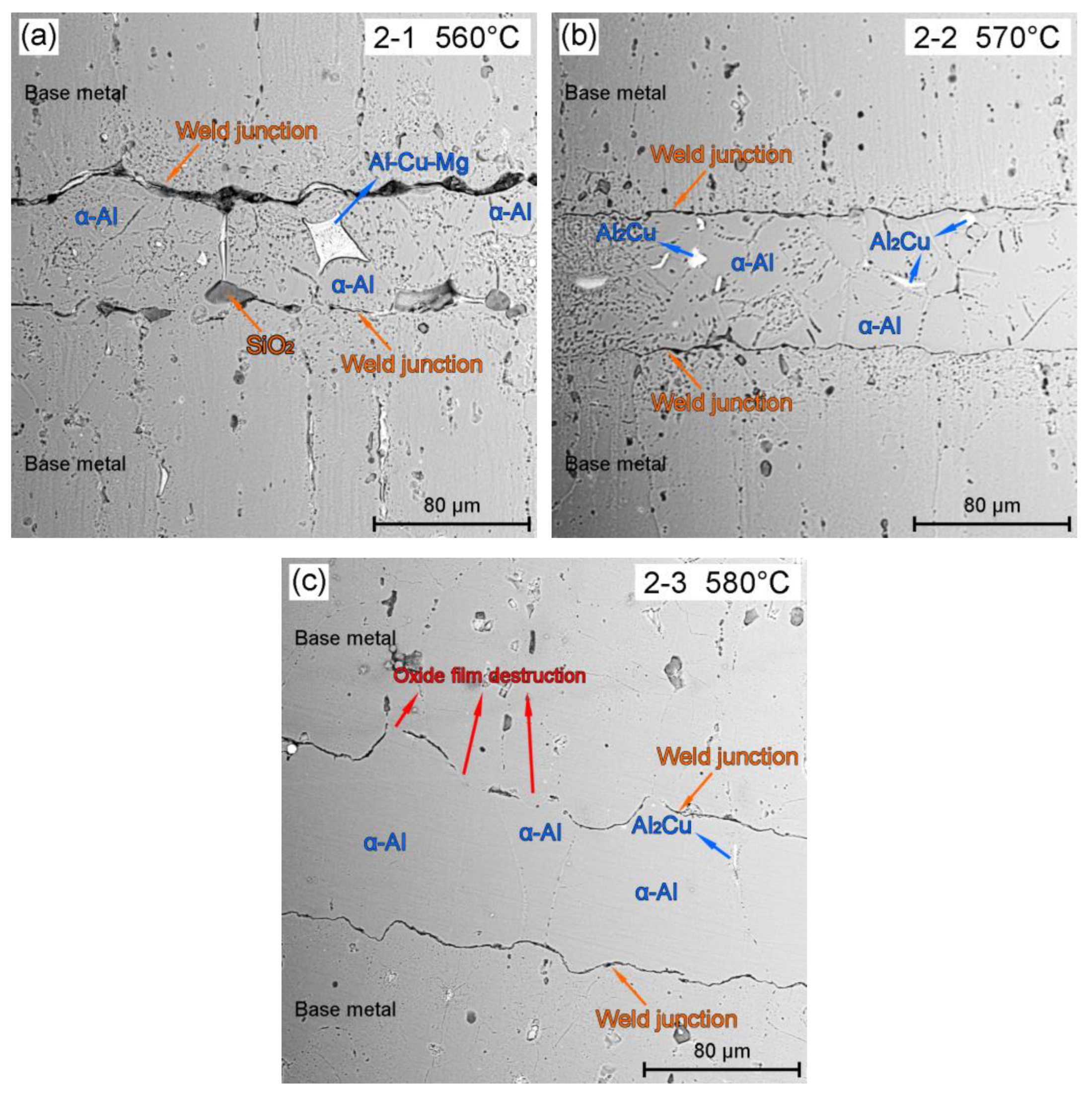 Metals 13 01048 g007