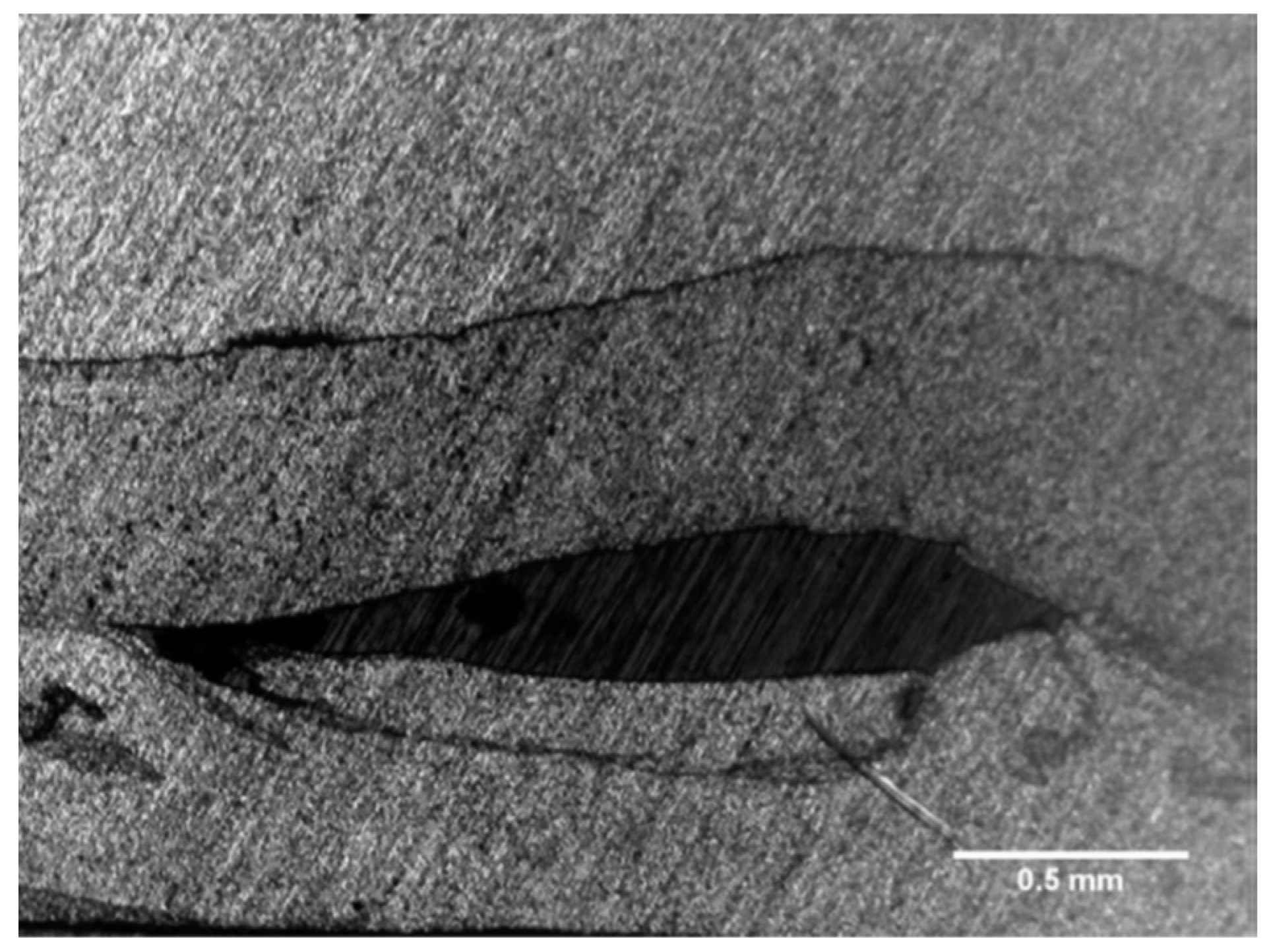 Metals 13 01055 g019 Metals 13 01055 g019