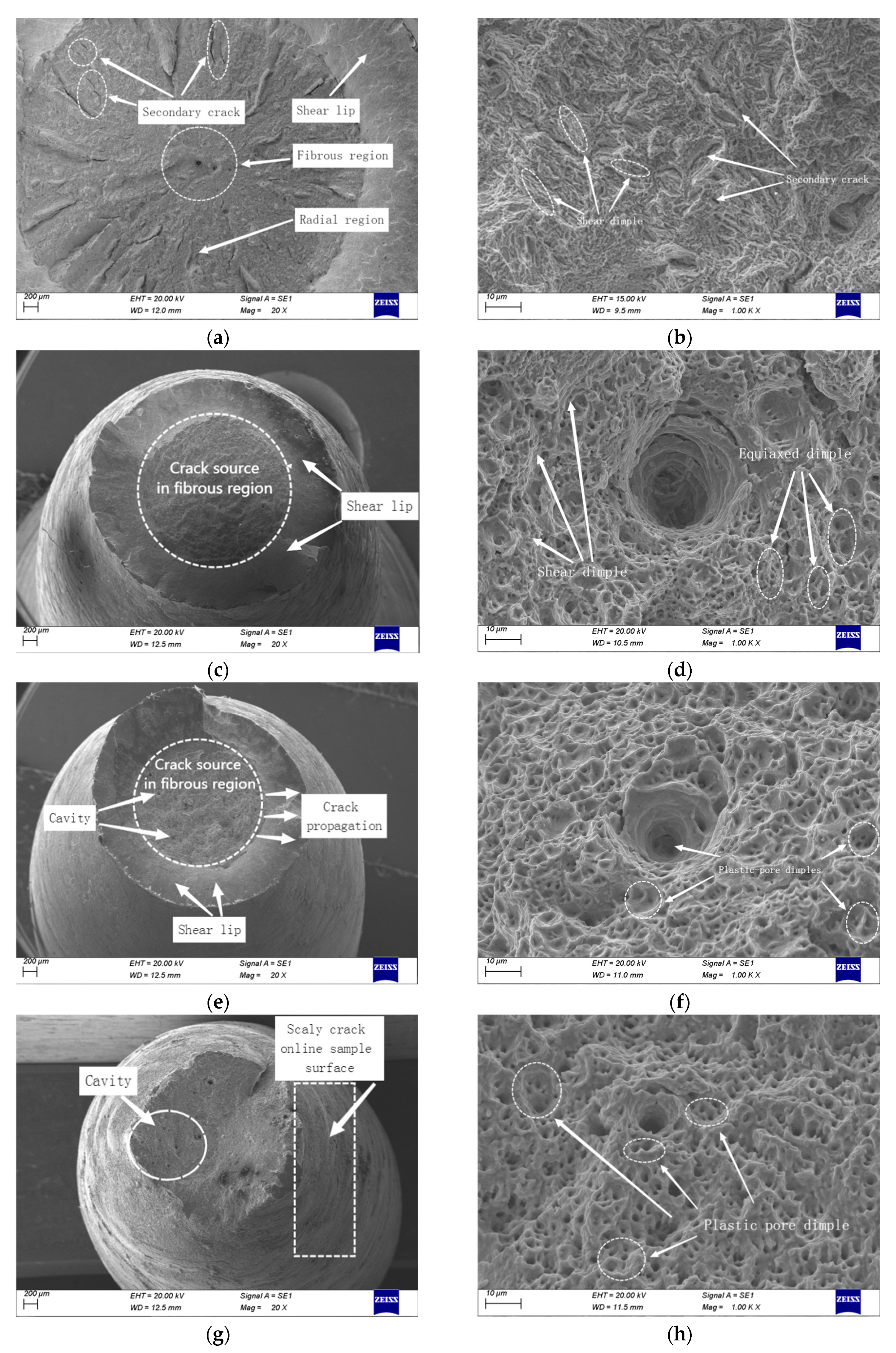 Metals 13 01056 g004