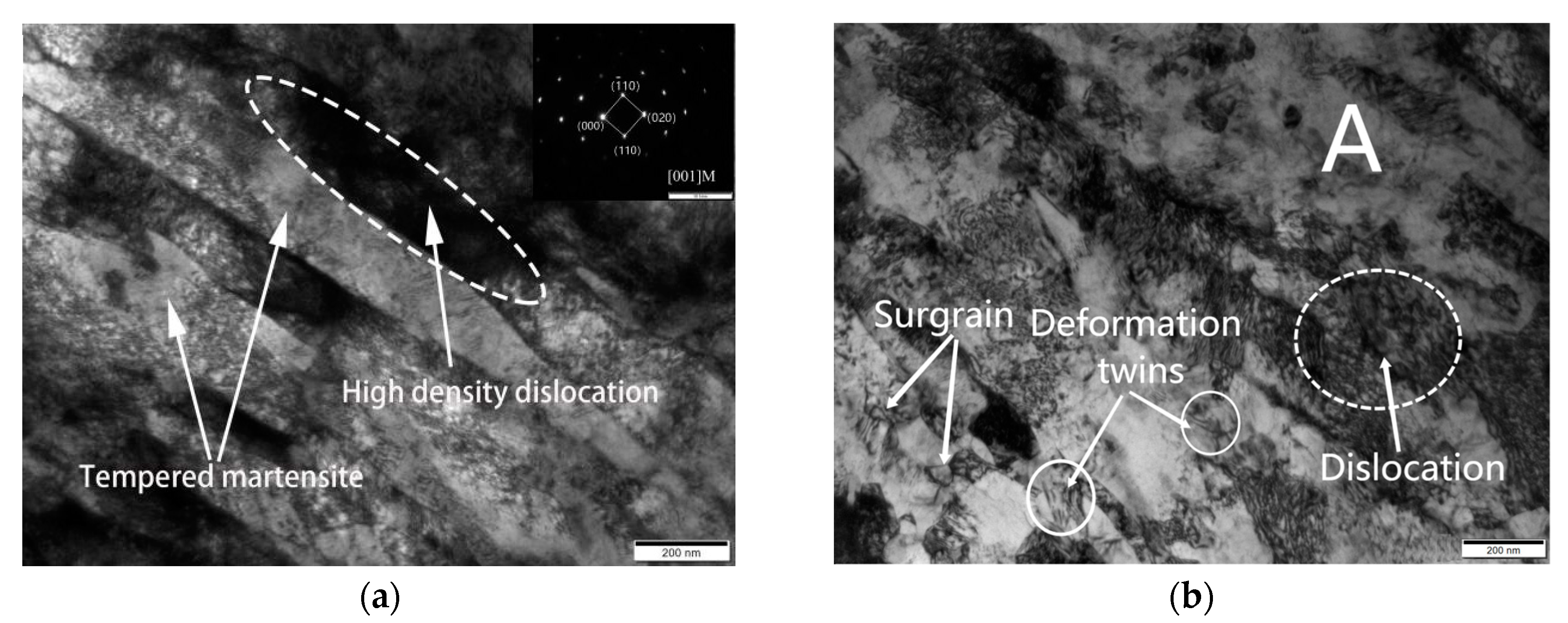 Metals 13 01056 g005a