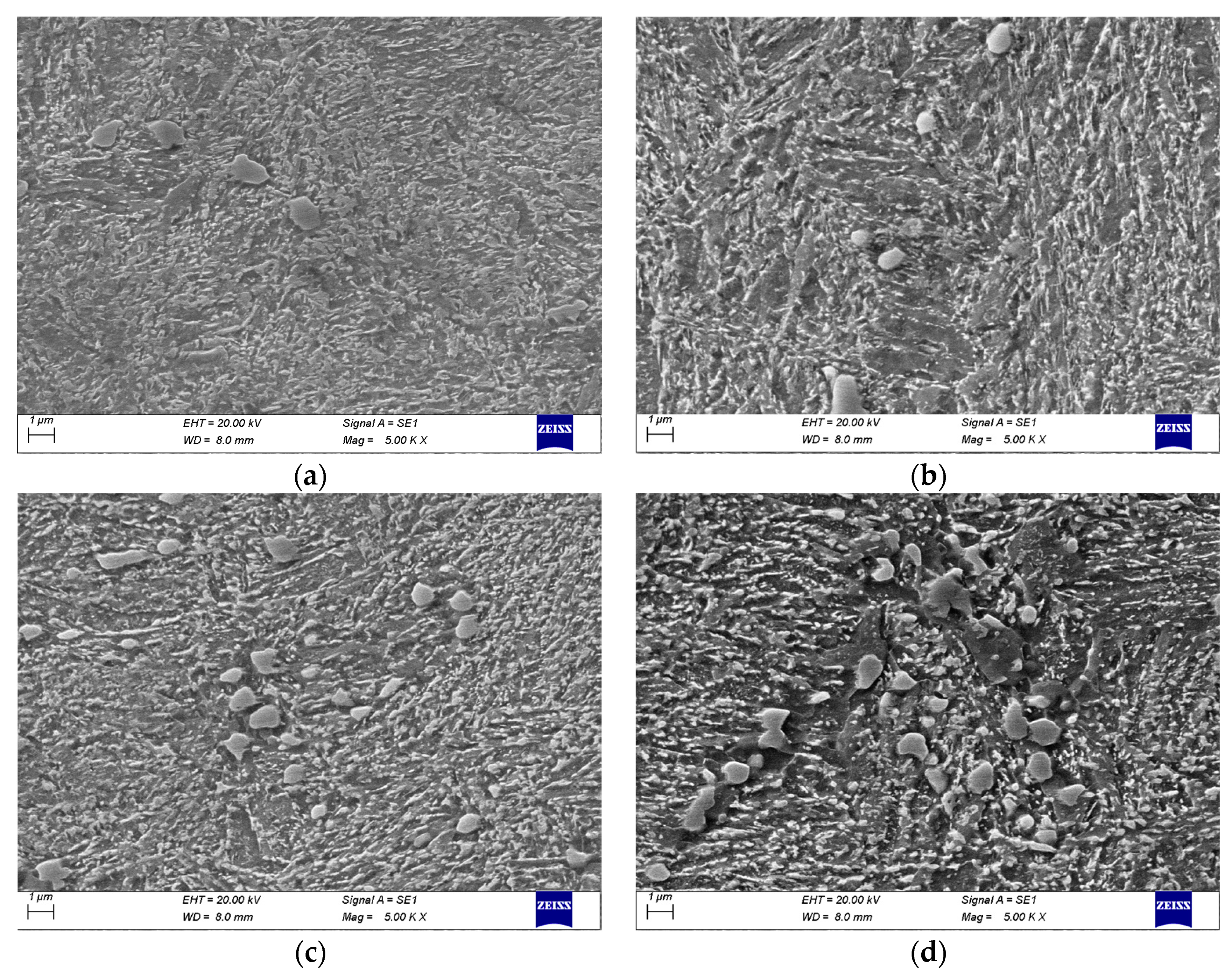 Metals 13 01056 g007