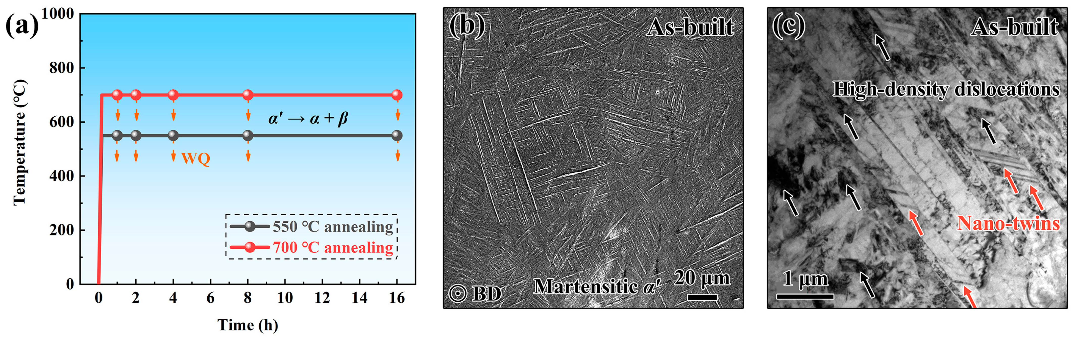 Metals 13 01061 g001