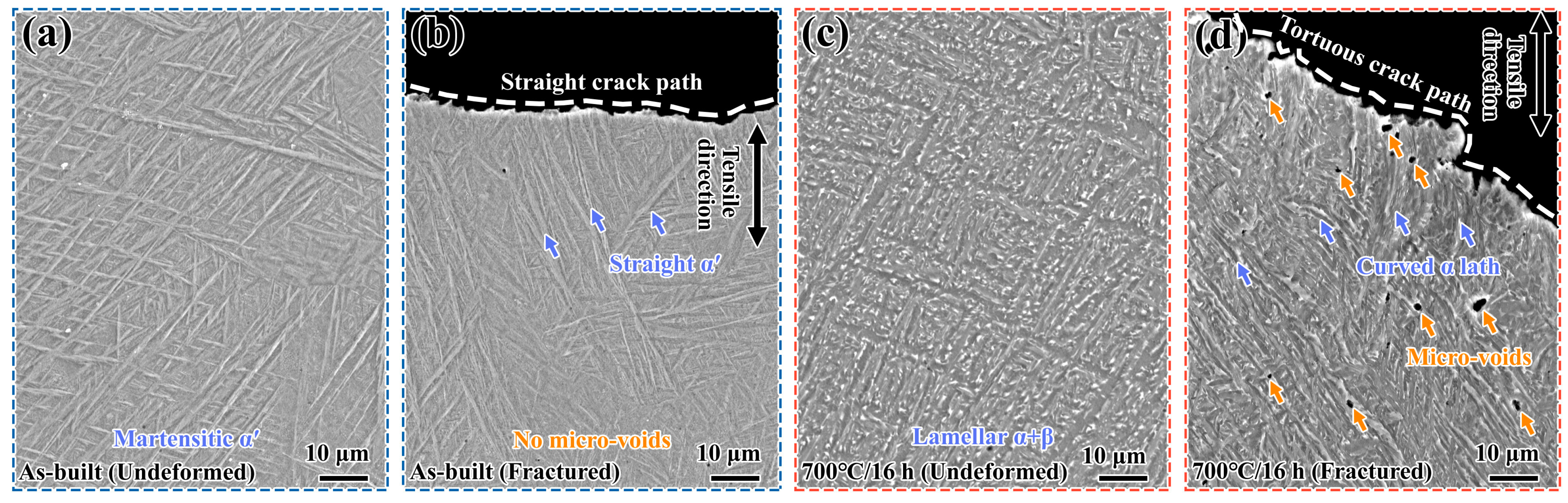 Metals 13 01061 g009