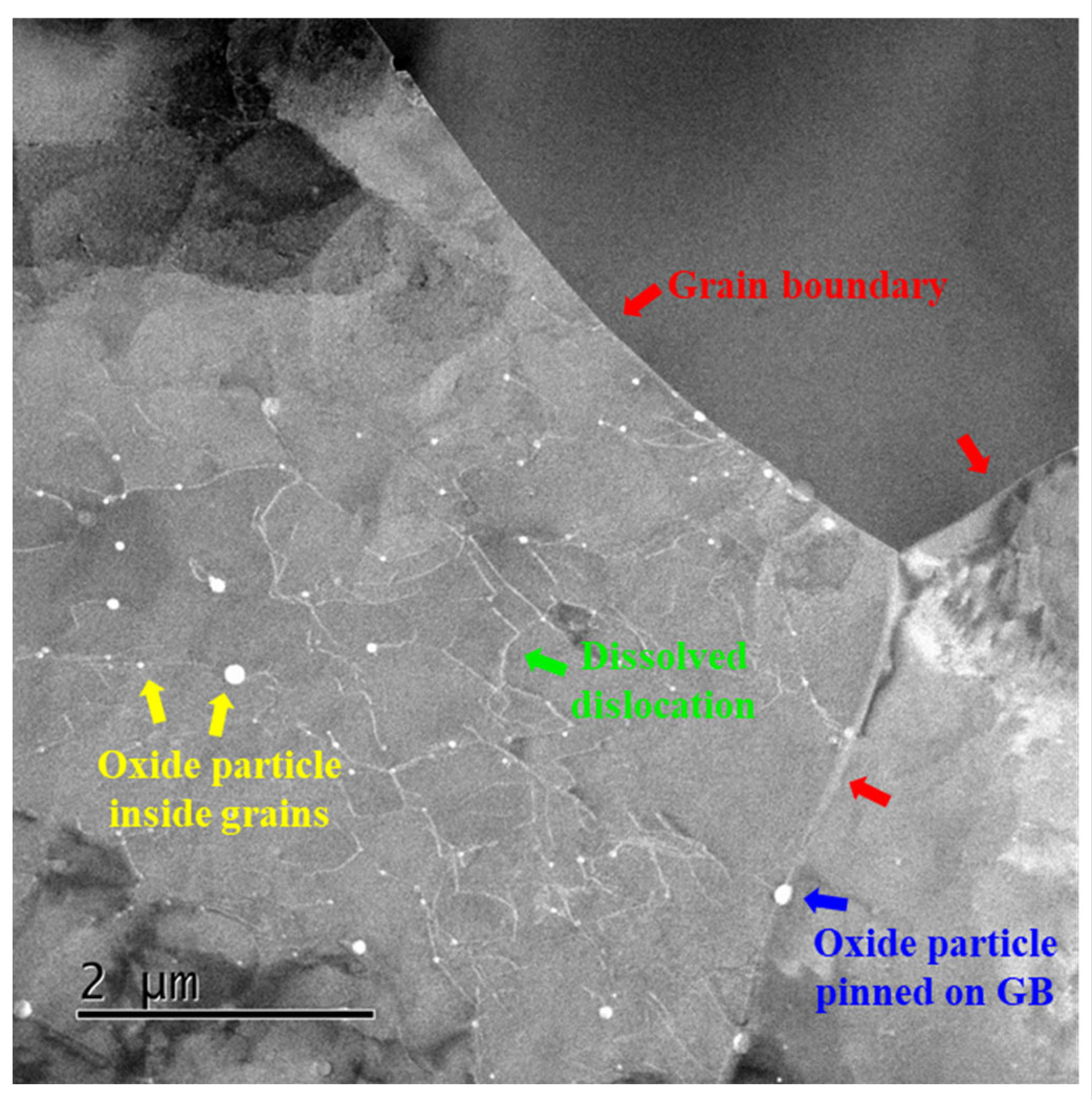 Metals 13 01062 g007