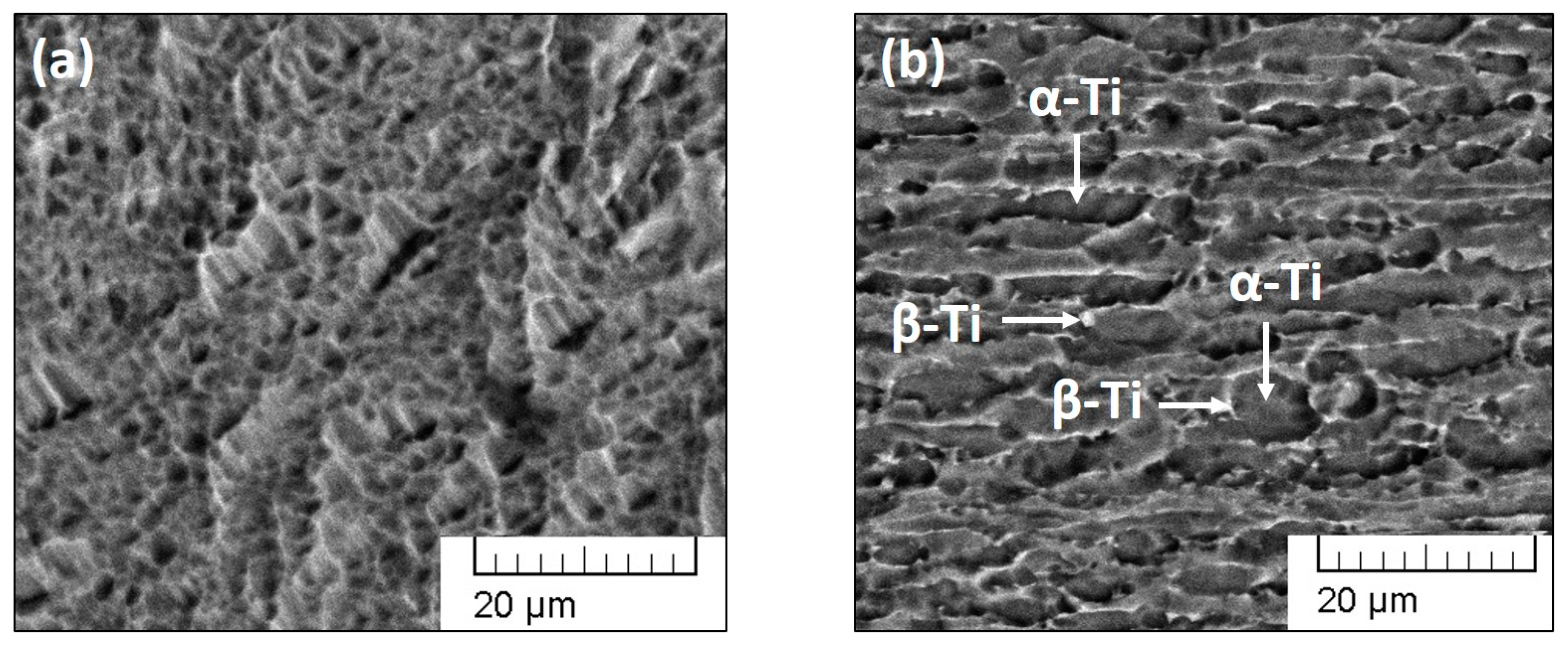 Metals 13 01065 g004