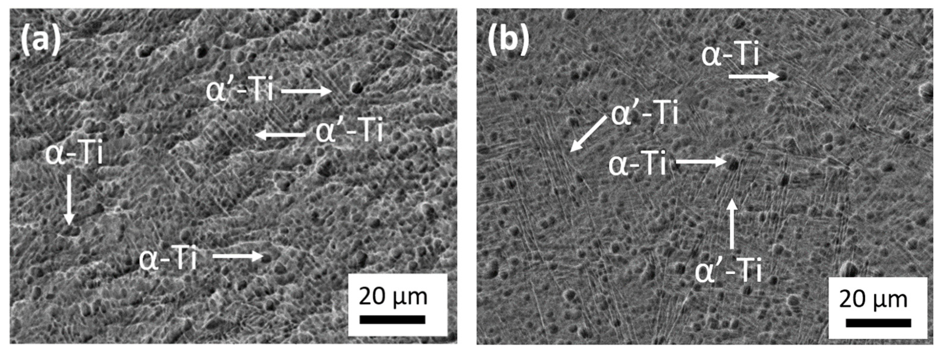 Metals 13 01065 g005