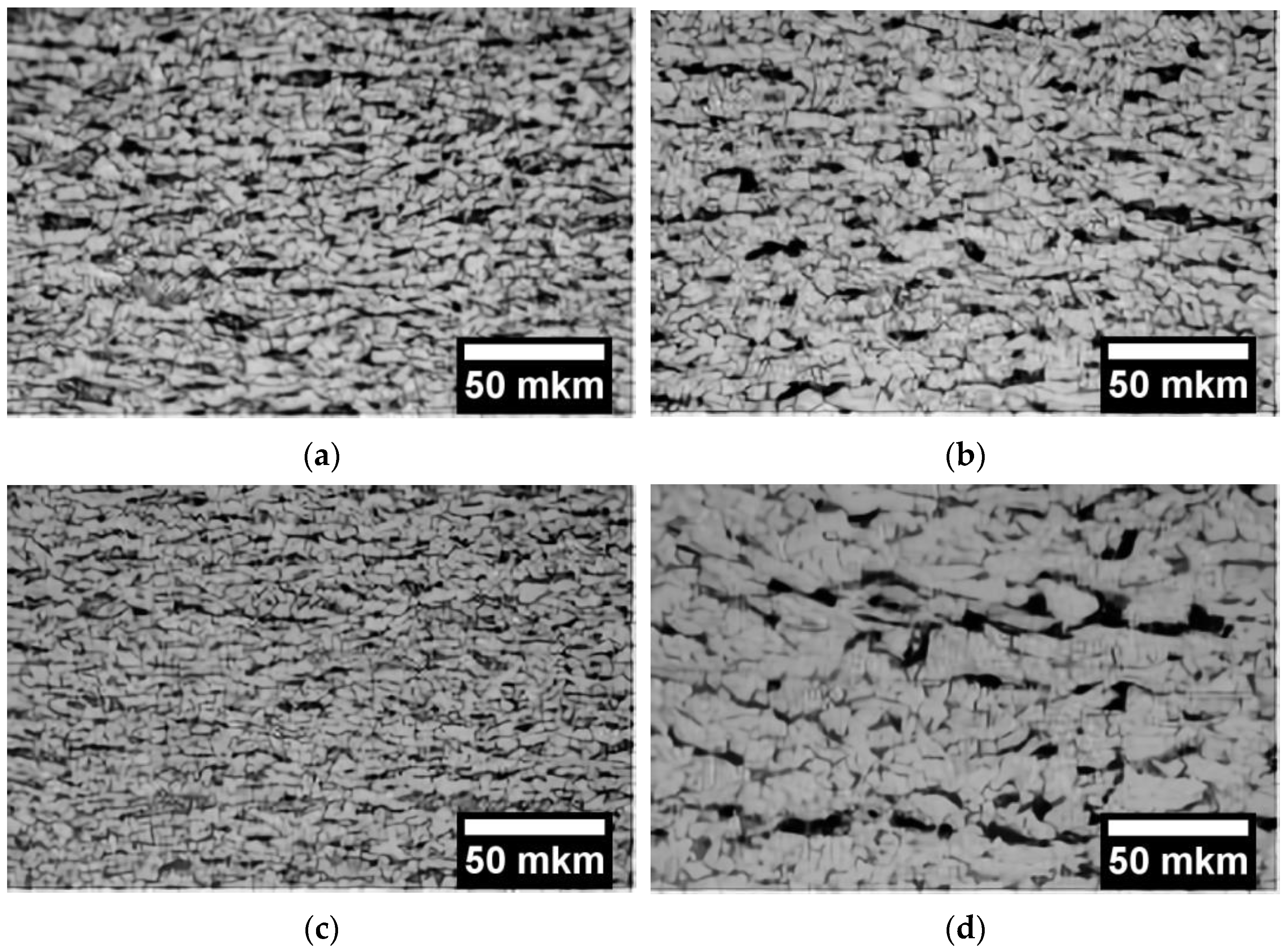 Metals 13 01066 g010