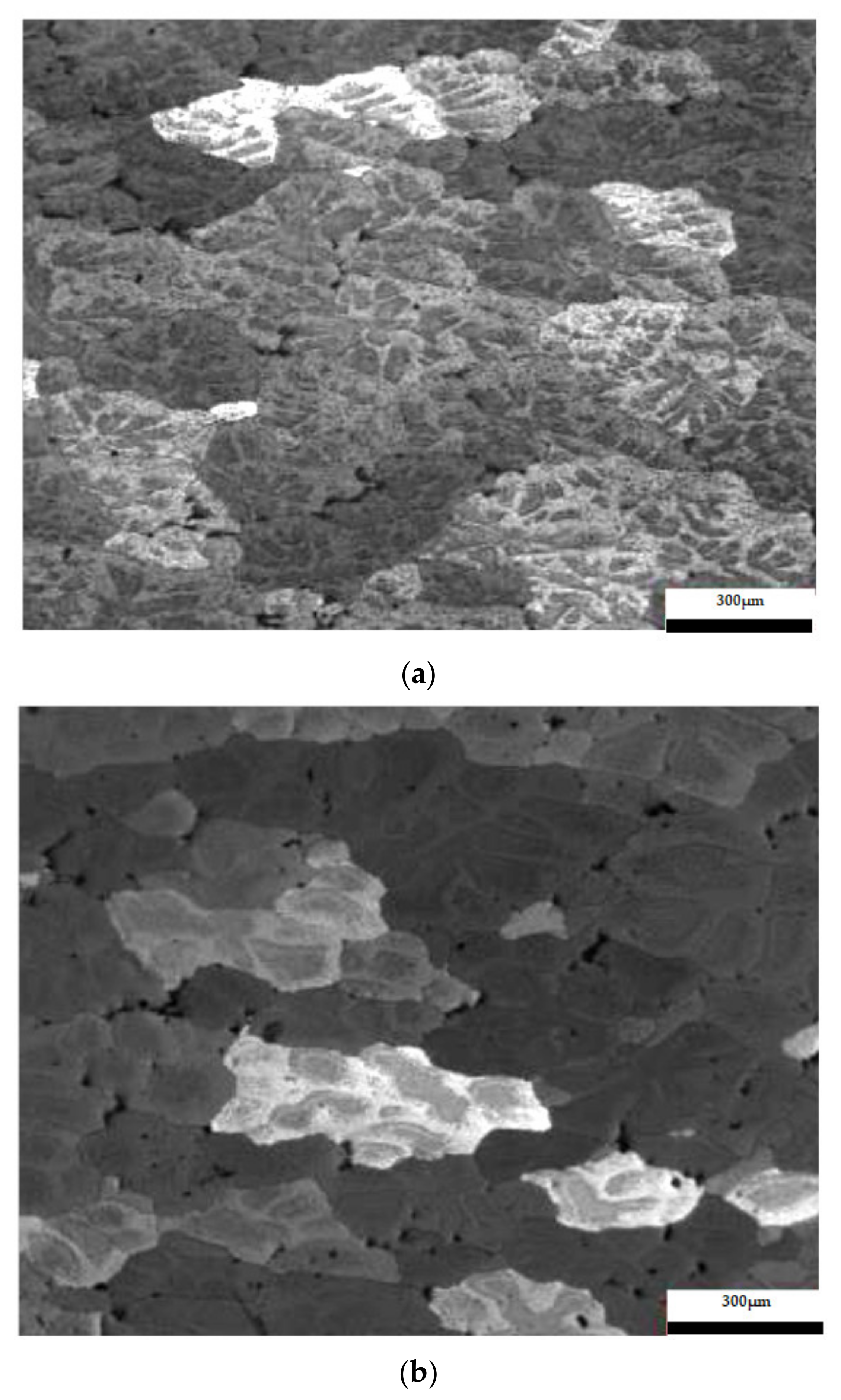 Metals 13 01067 g007a