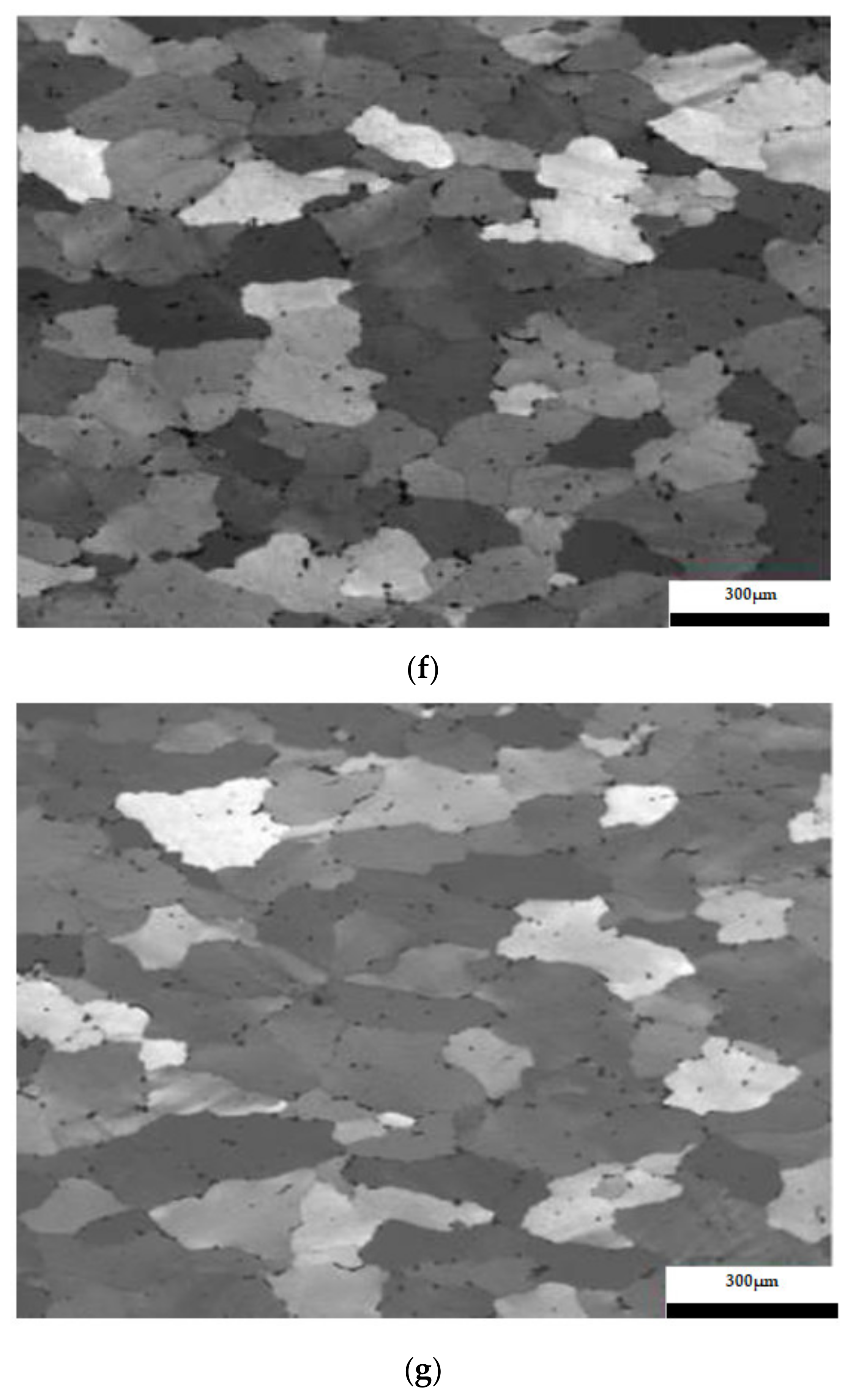 Metals 13 01067 g007c