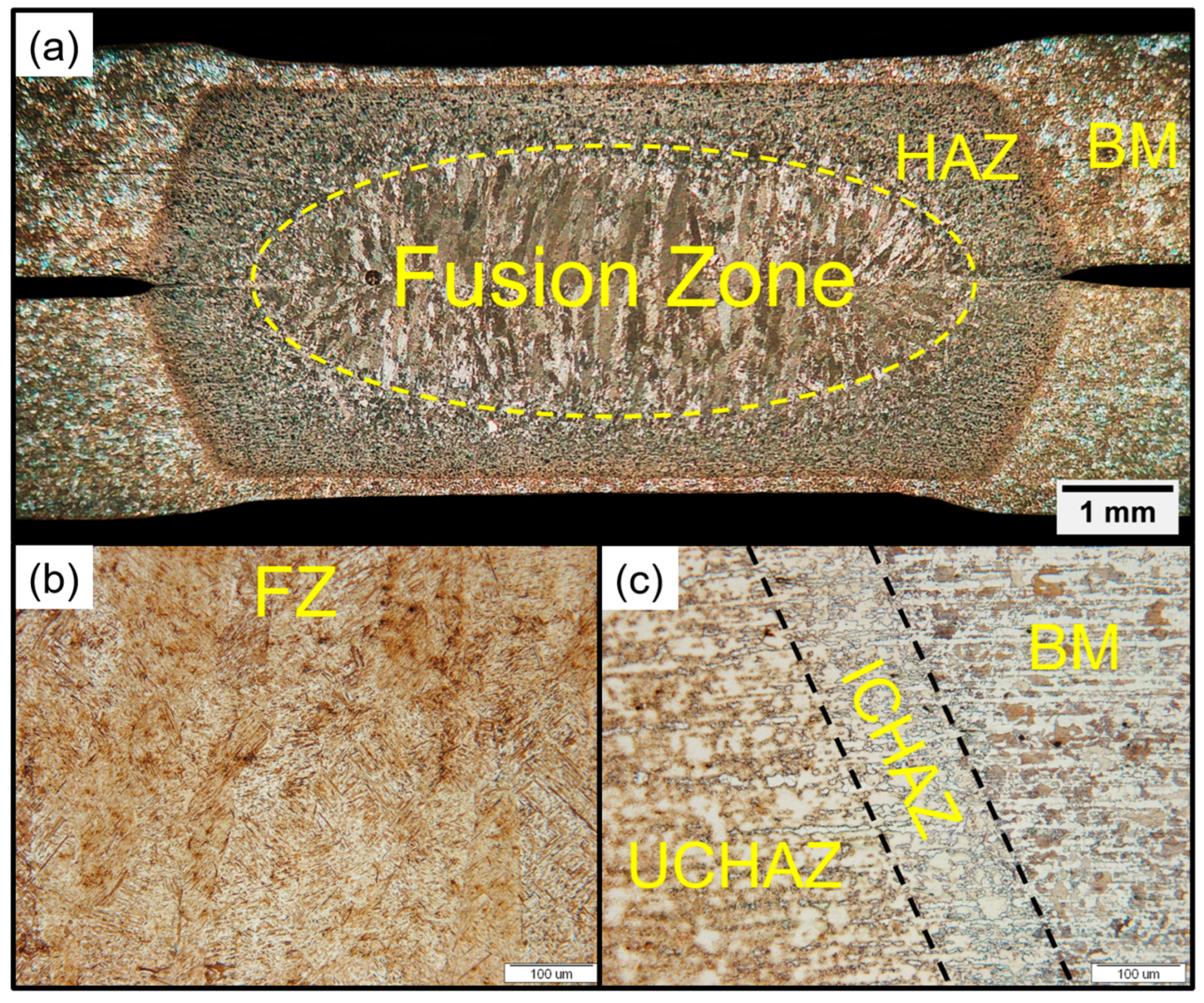 Metals 13 01076 g005