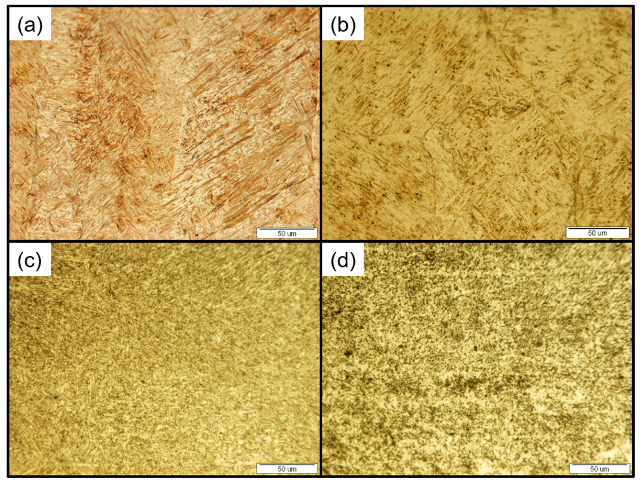 Metals 13 01076 g006