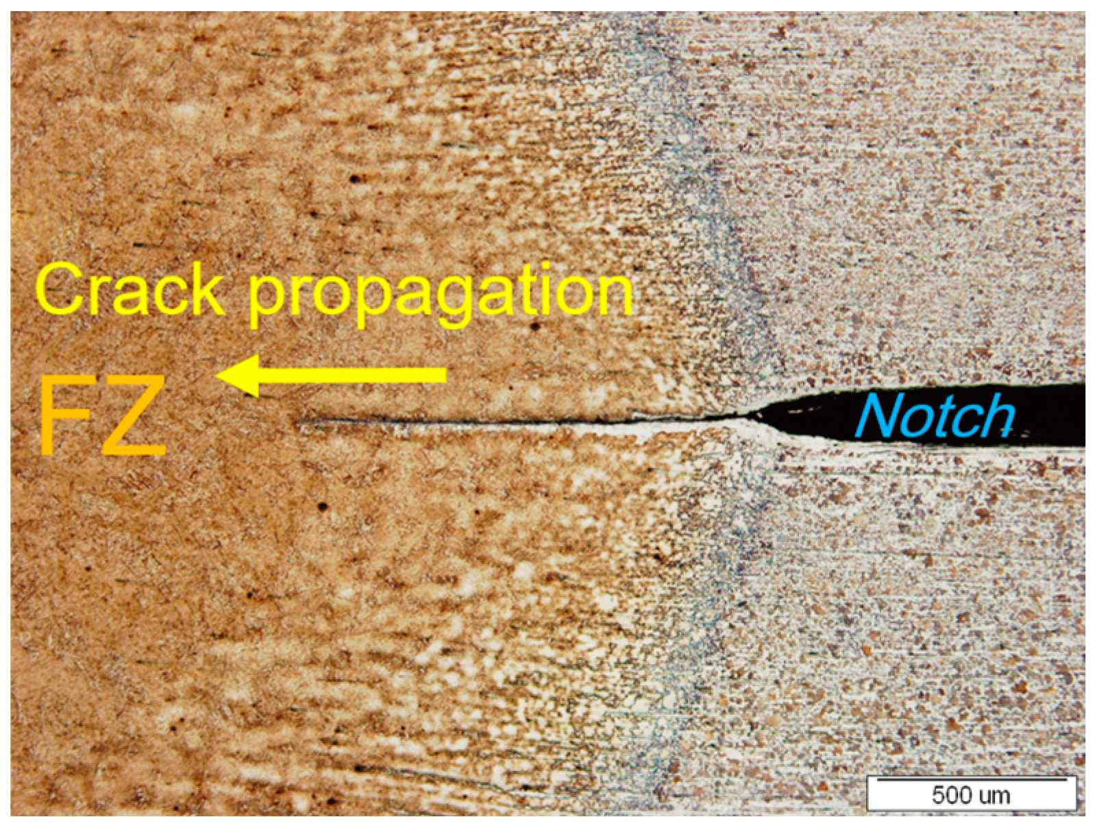 Metals 13 01076 g010