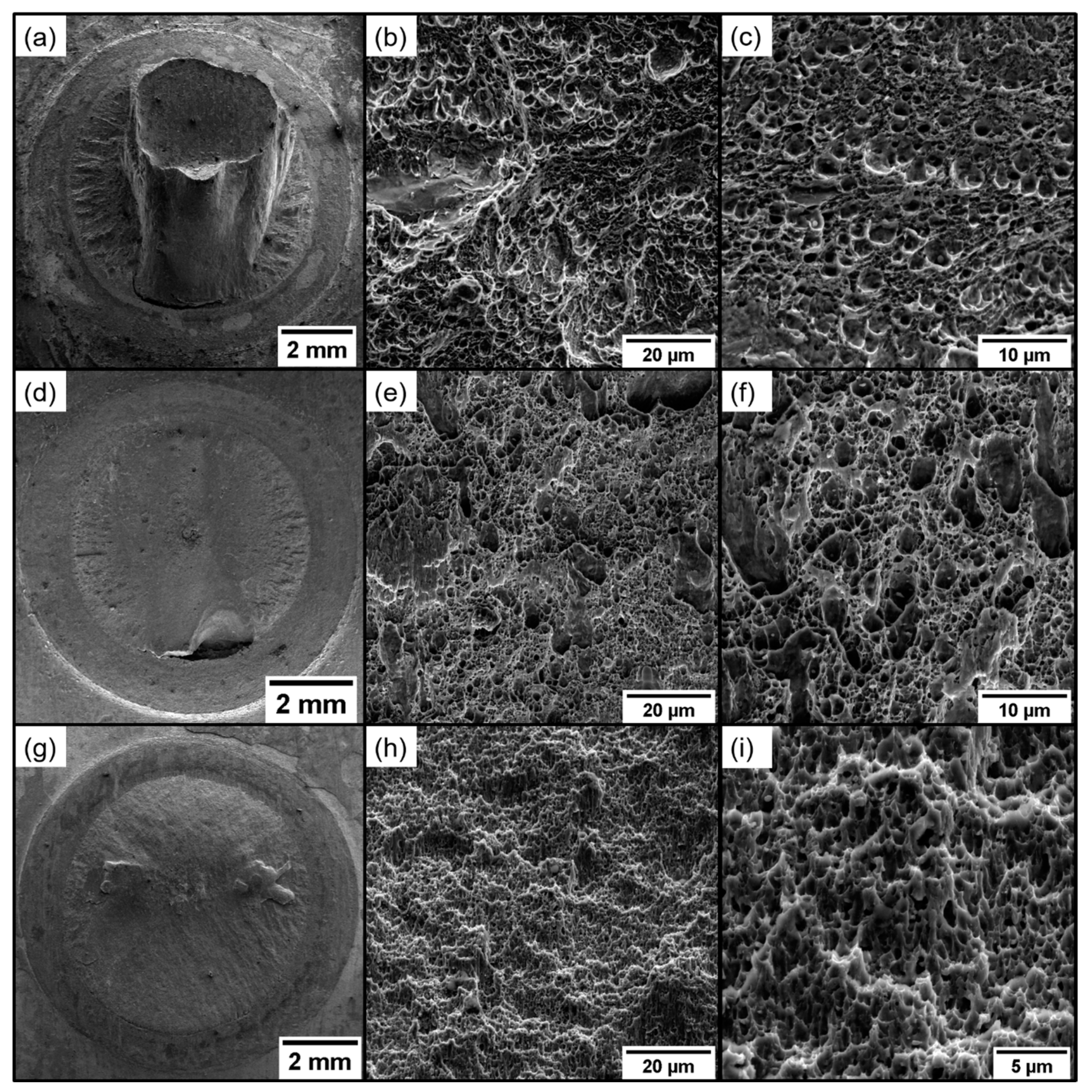 Metals 13 01076 g013