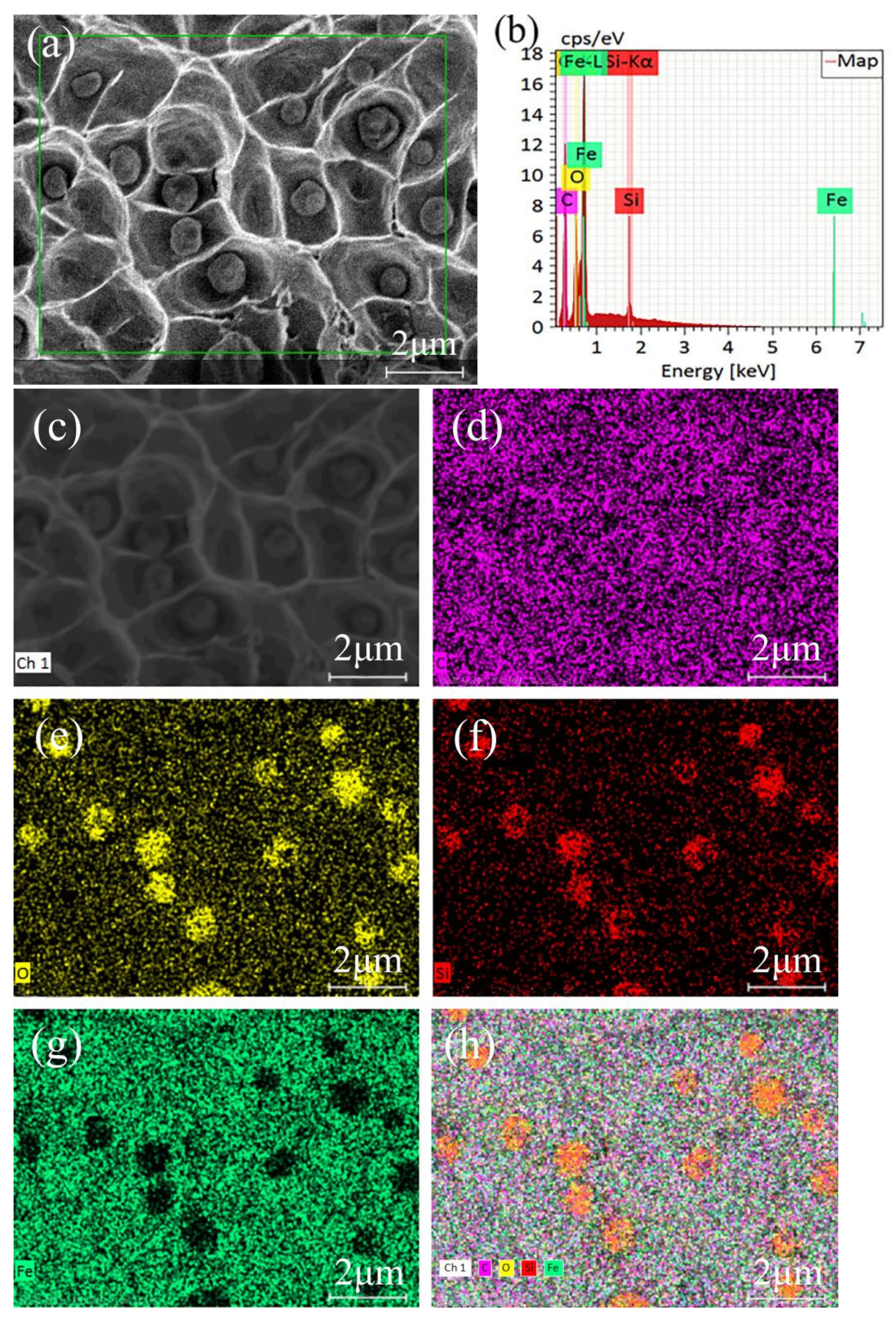 Metals 13 01087 g010 Metals 13 01087 g010